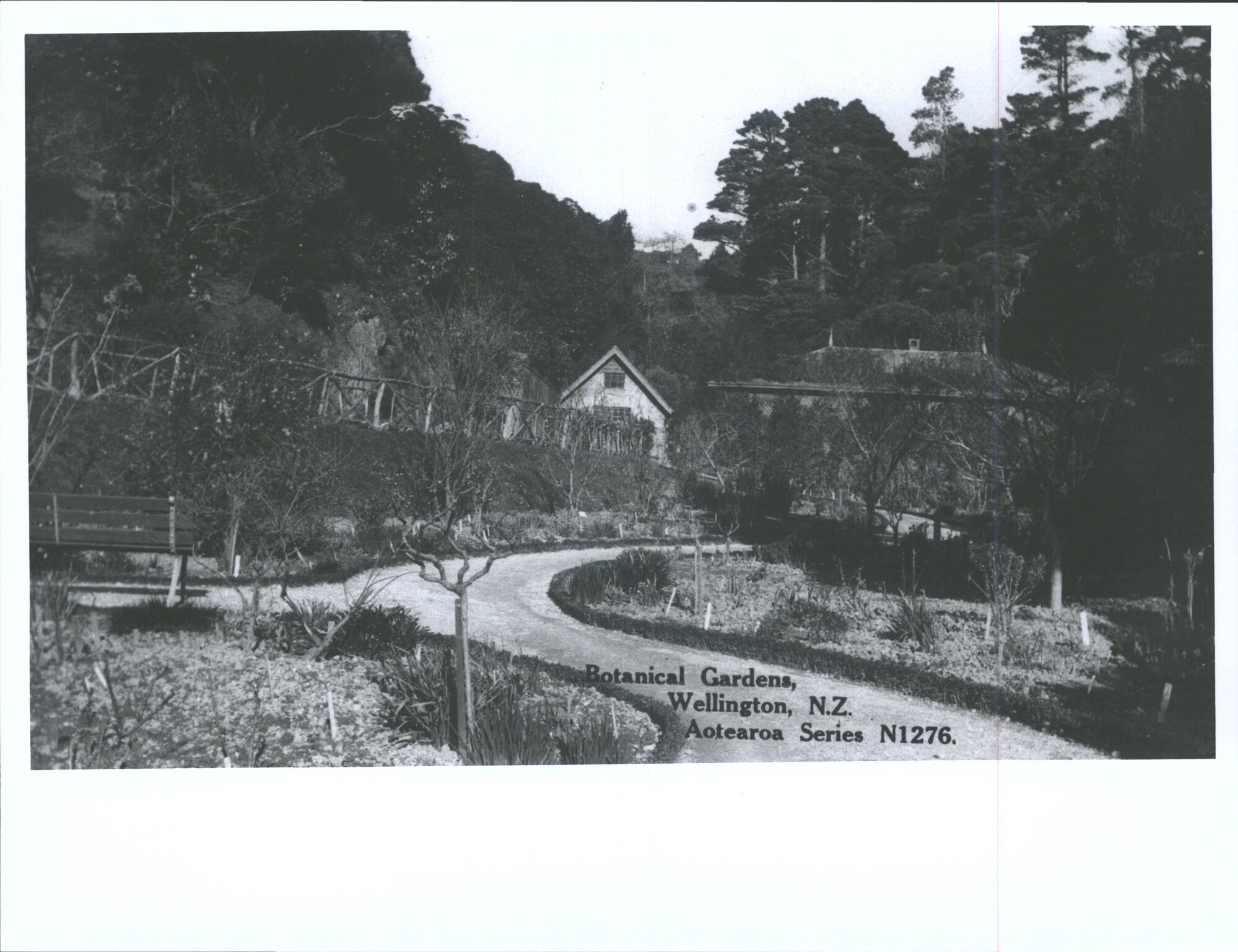 Botanical Gardens, Wellington, N.Z.