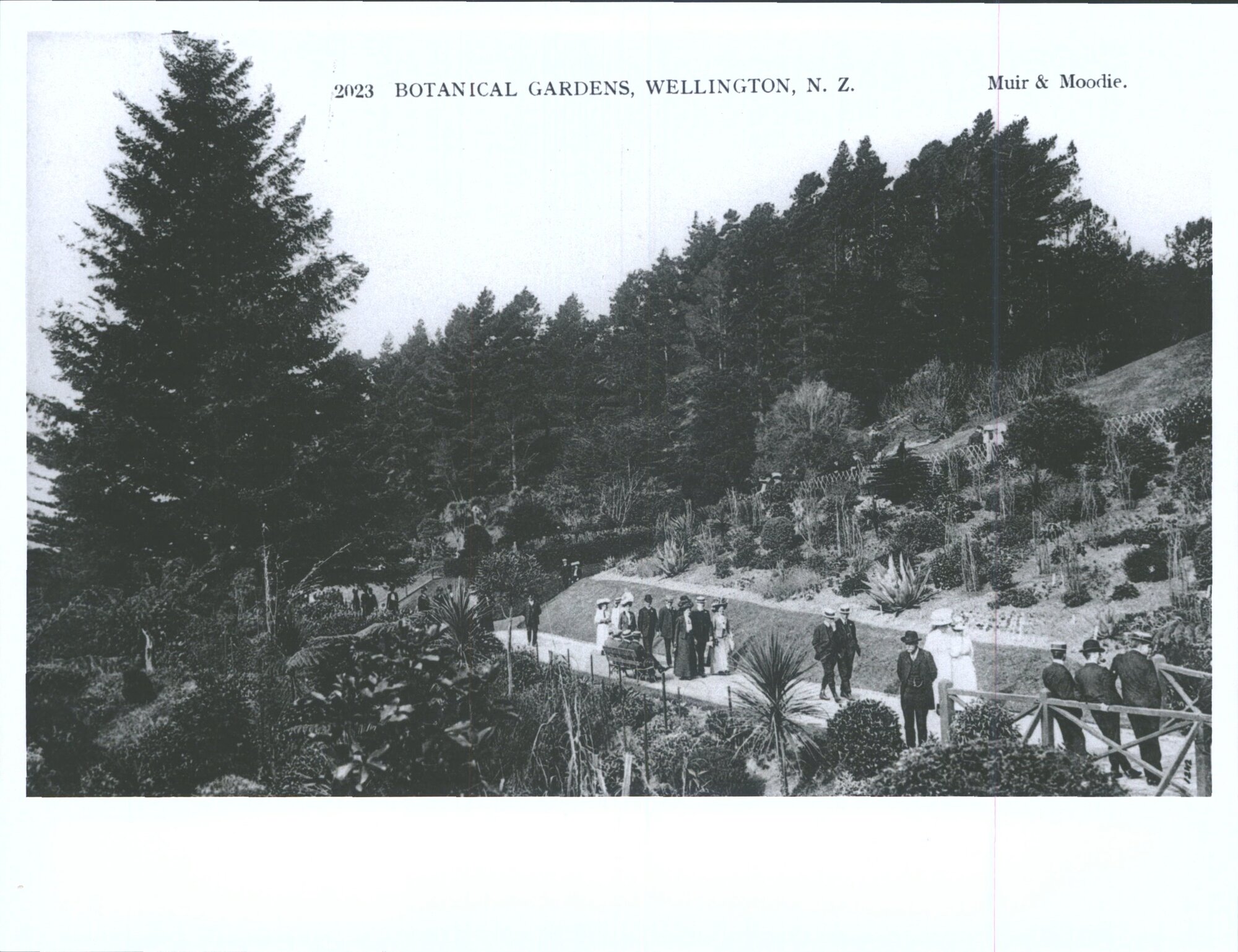 Botanical Gardens, Wellington, N.Z.