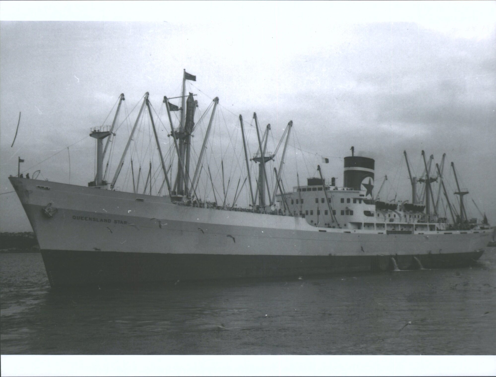 QUEENSLAND STAR