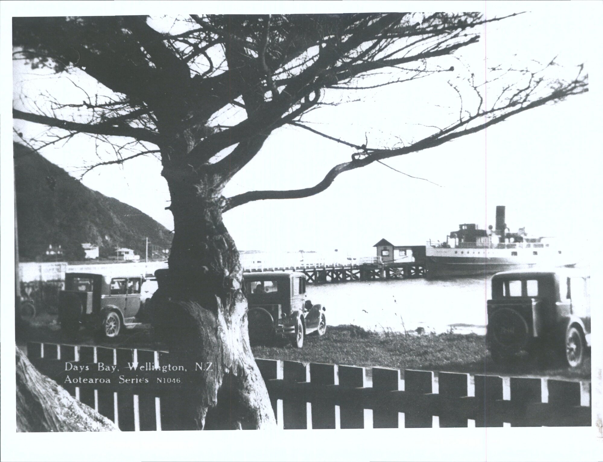 Day's Bay, Wellington, N.Z.