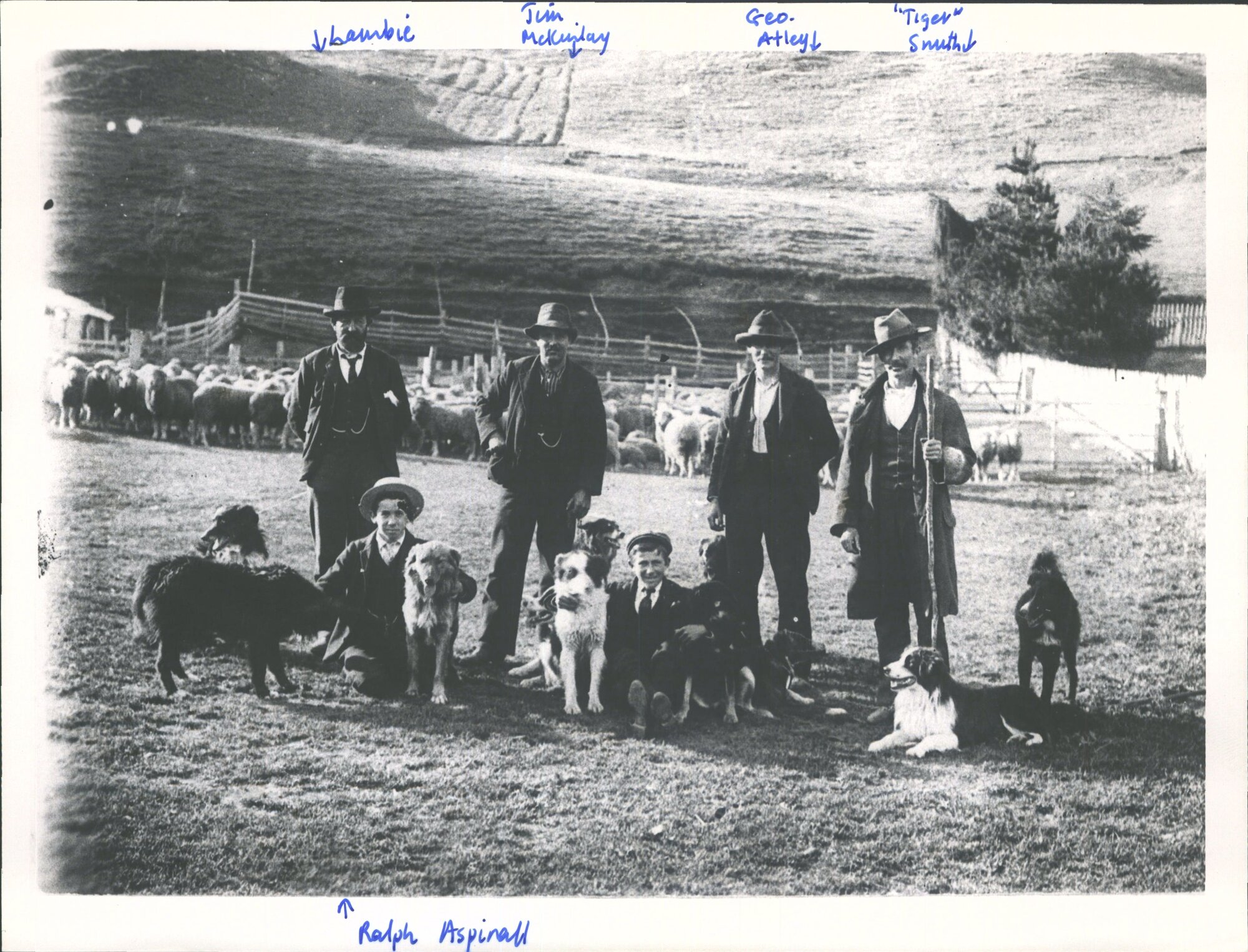 Mustering at Lambie's Run on Mount Aurum