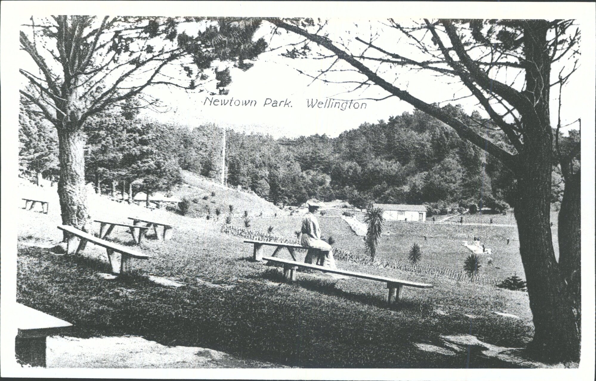 Newtown Park, Wellington