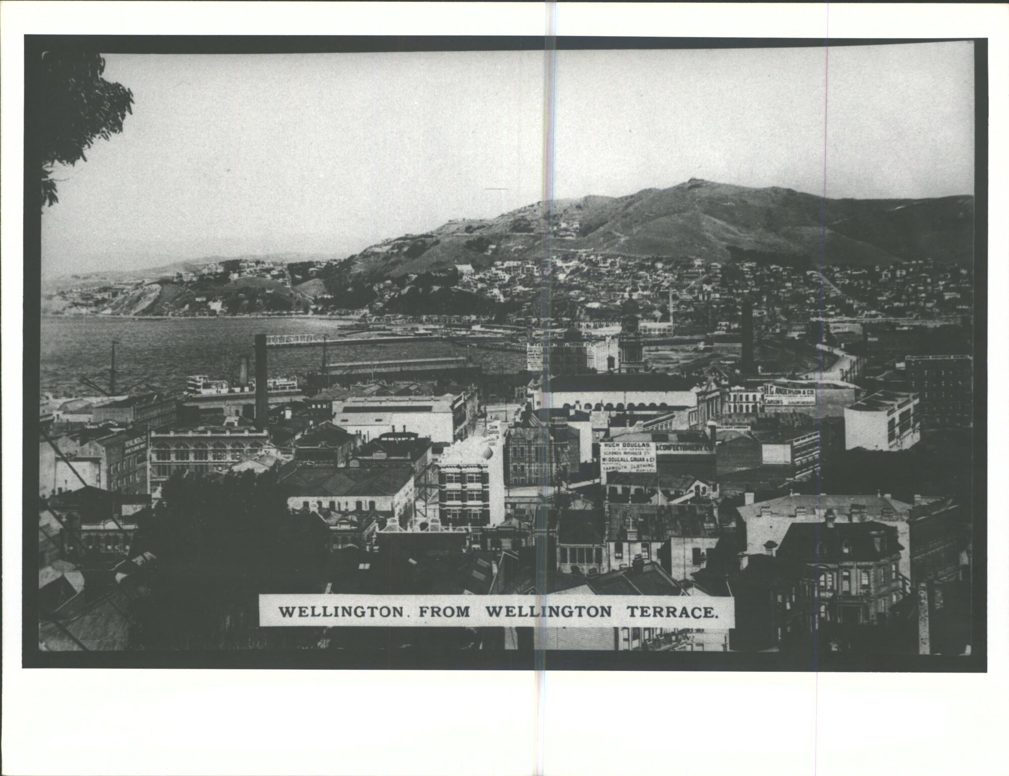 Wellington, From Wellington Terrace