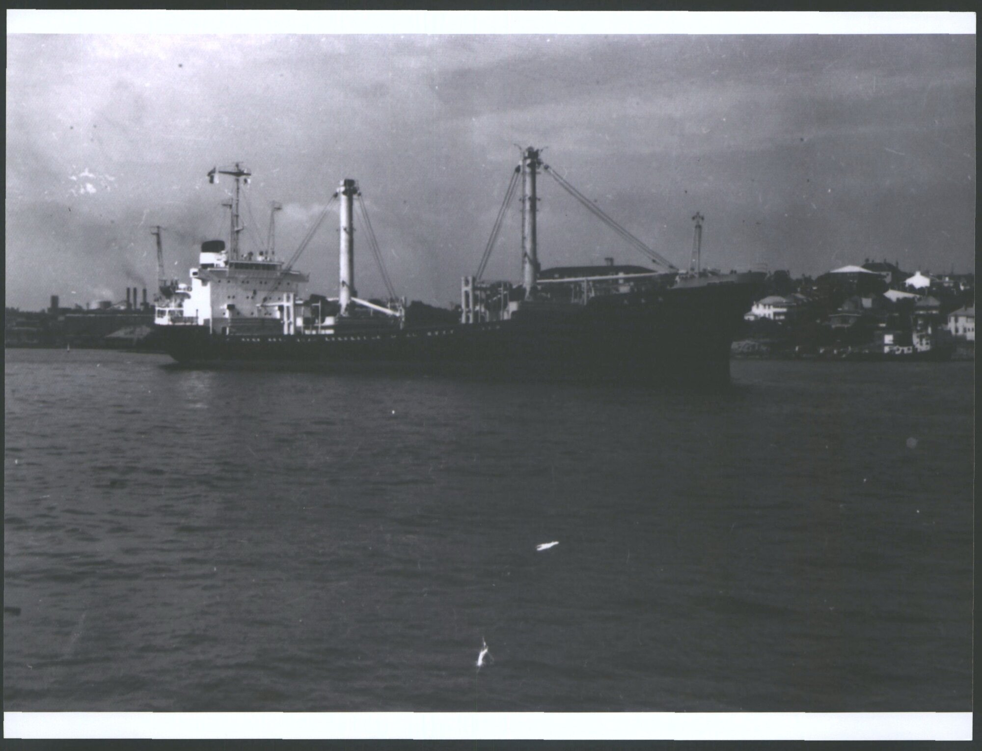 Shota Maru
