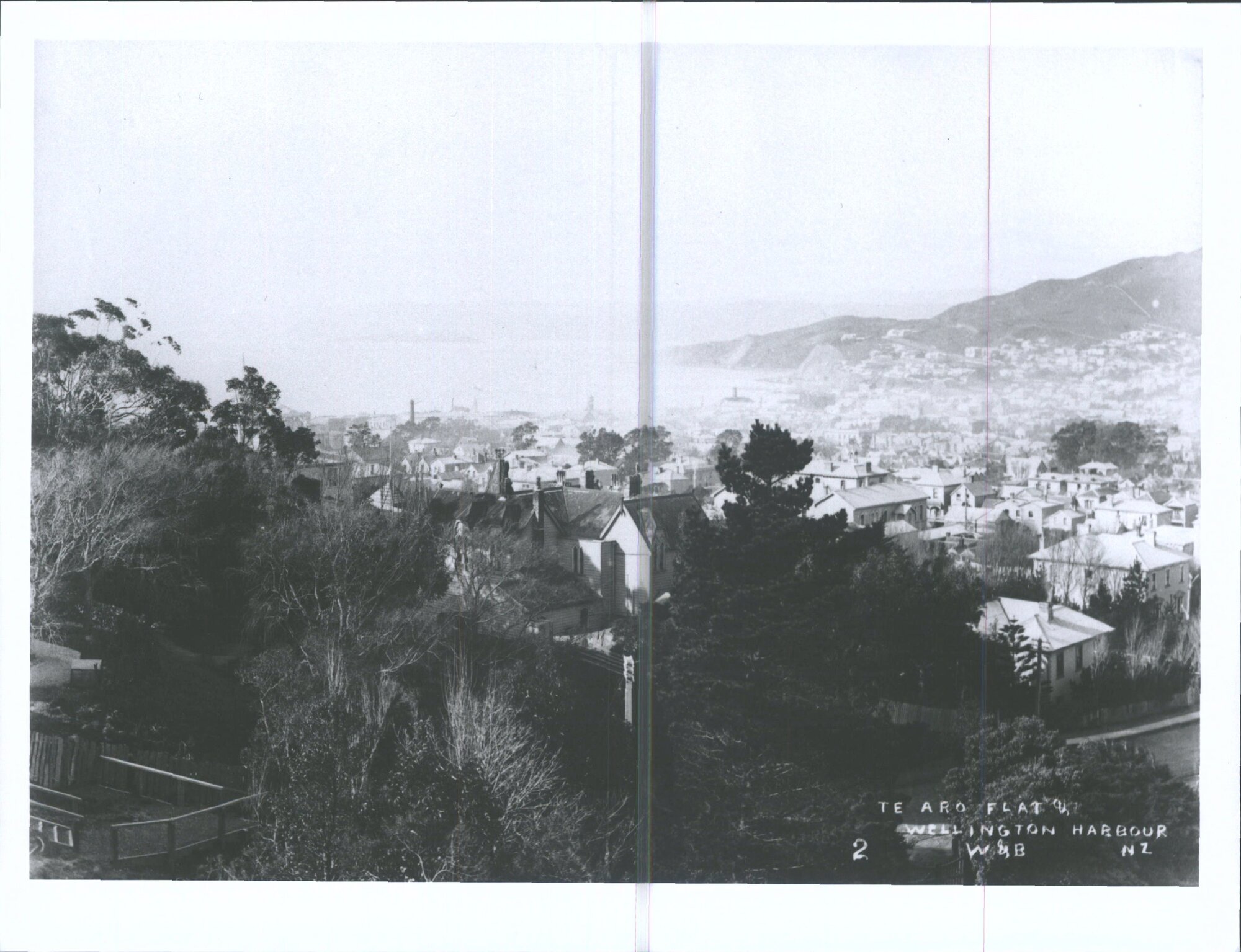Te Aro Flat &amp; Wellington Harbour, N.Z.