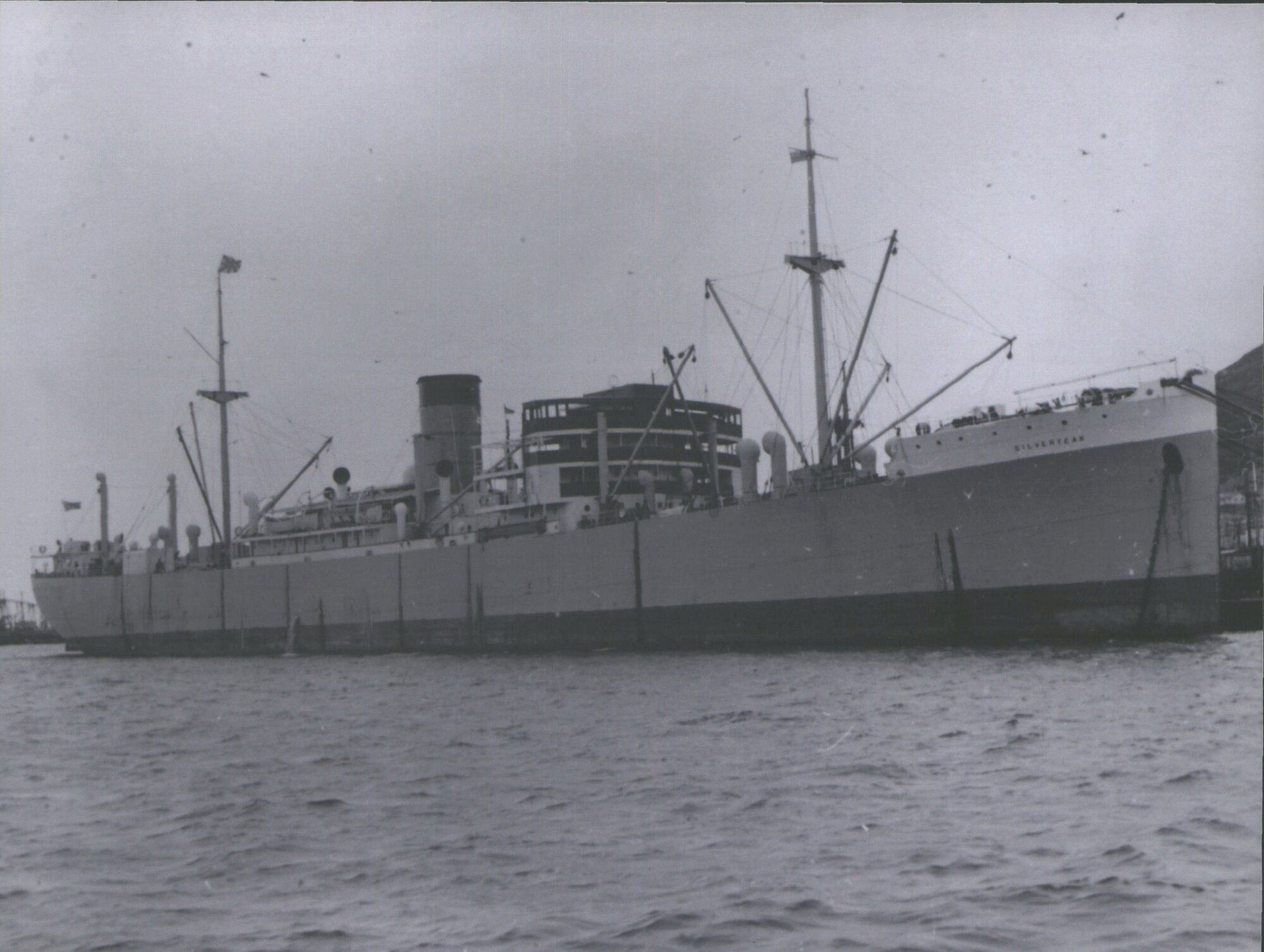 (Silver Line) Silver Teak