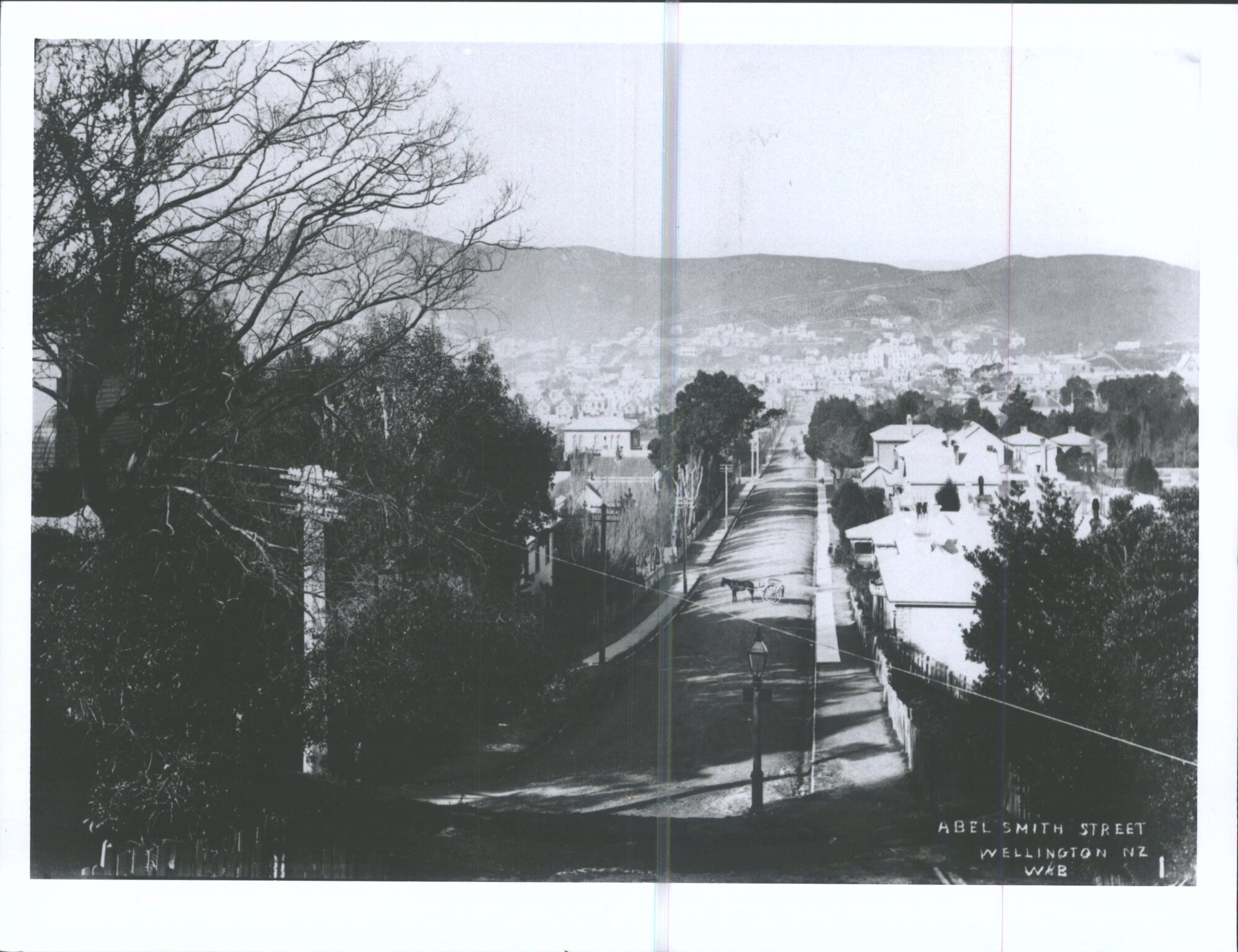 Abel Smith Street, Wellington, N.Z.