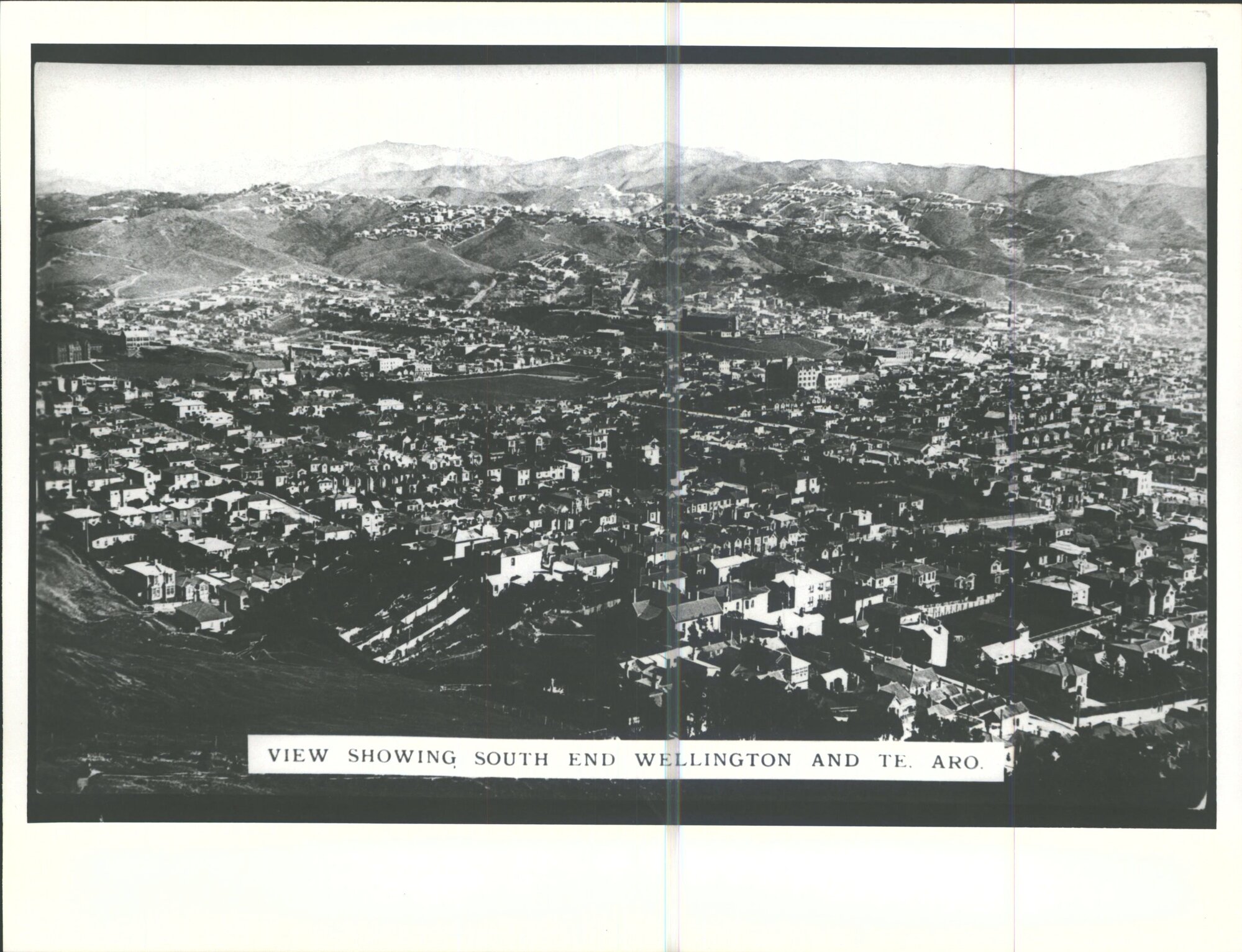 View Showing South End Wellington and Te Aro