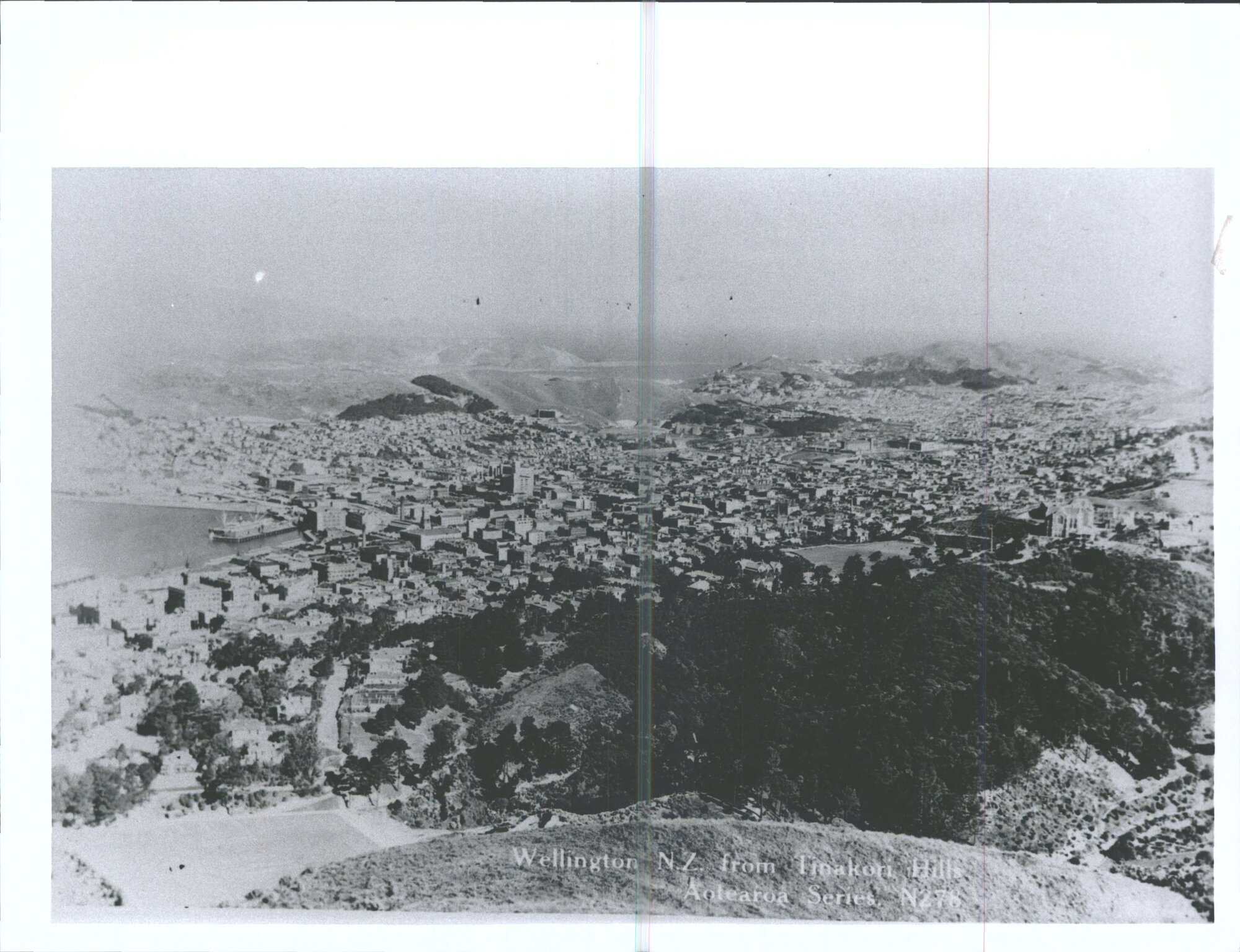 Wellington N.Z. from Tinakori Hill