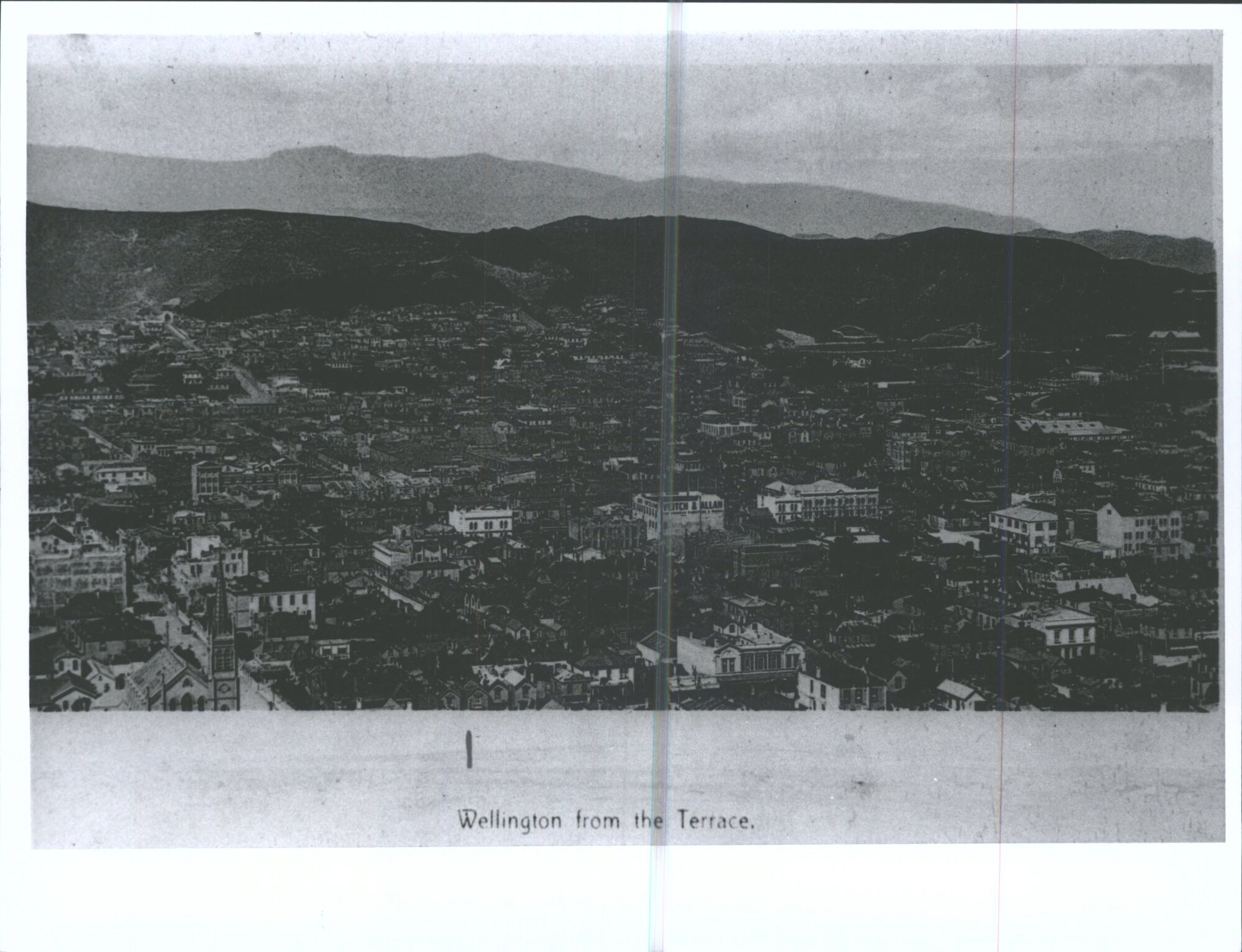 Wellington from the Terrace