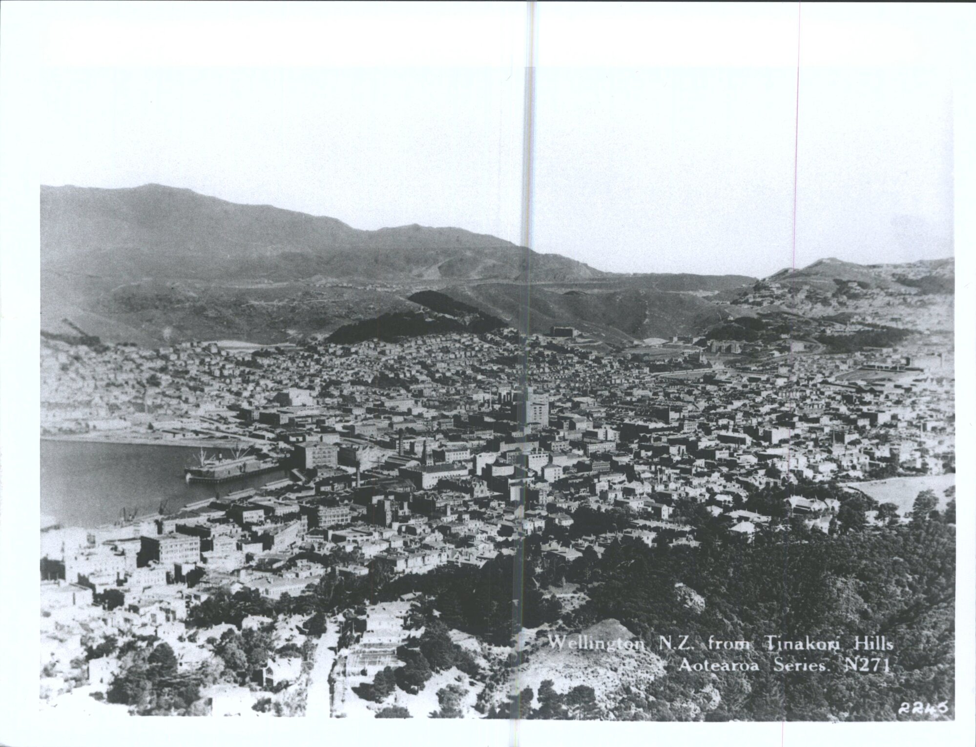 Wellington, N.Z. from Tinakori Hills