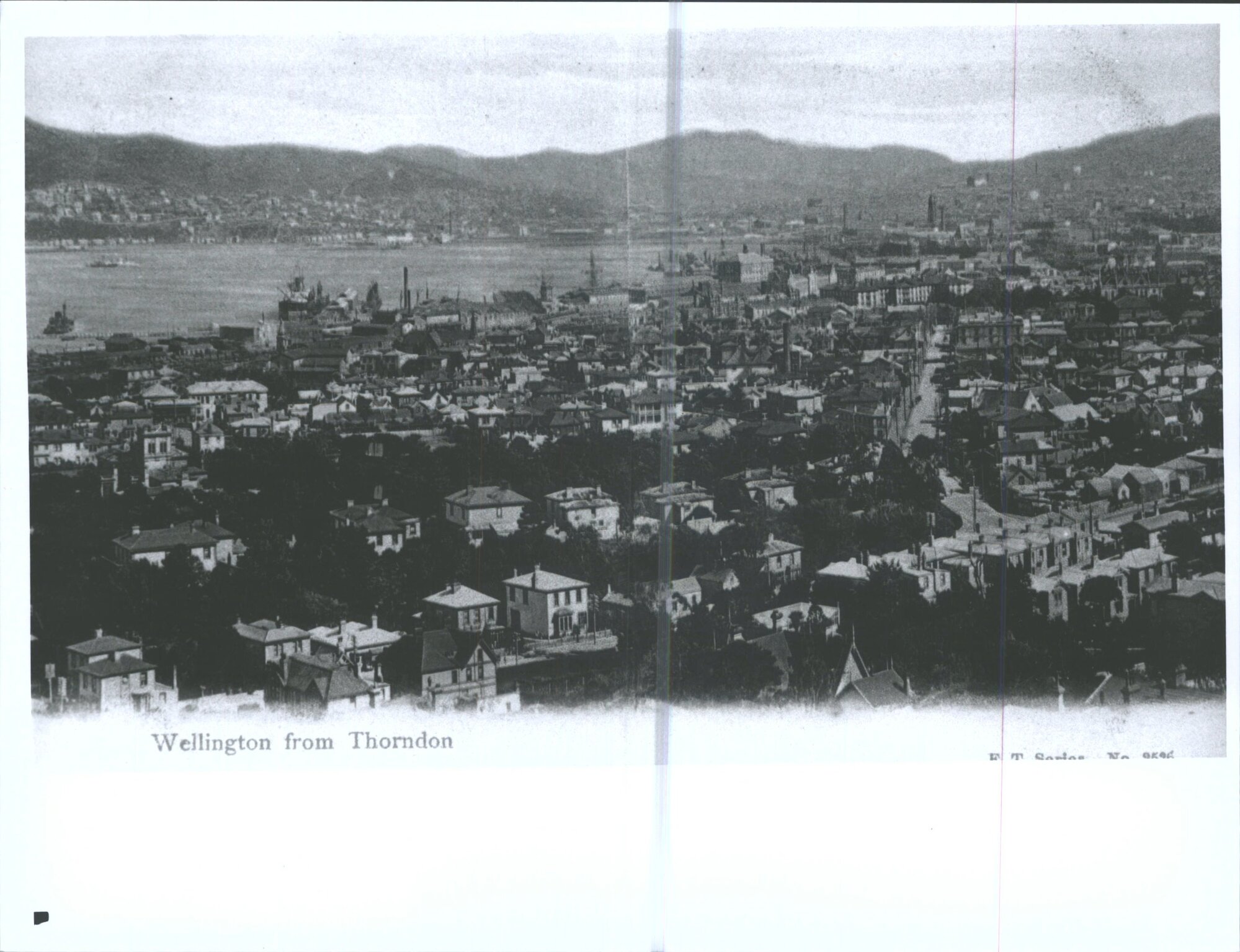 Wellington from Thorndon