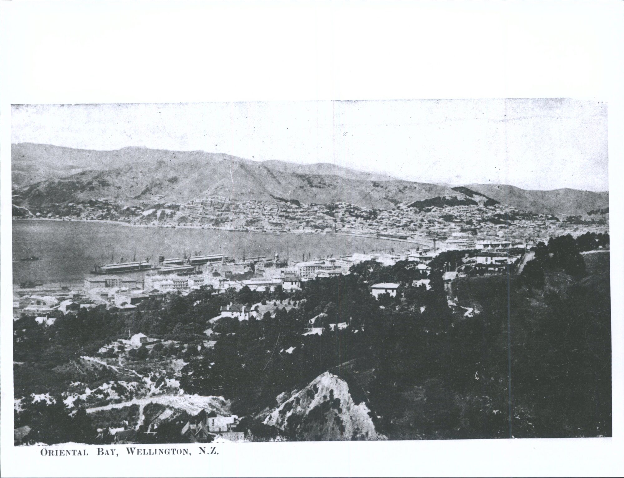Oriental Bay, Wellington, N.Z.