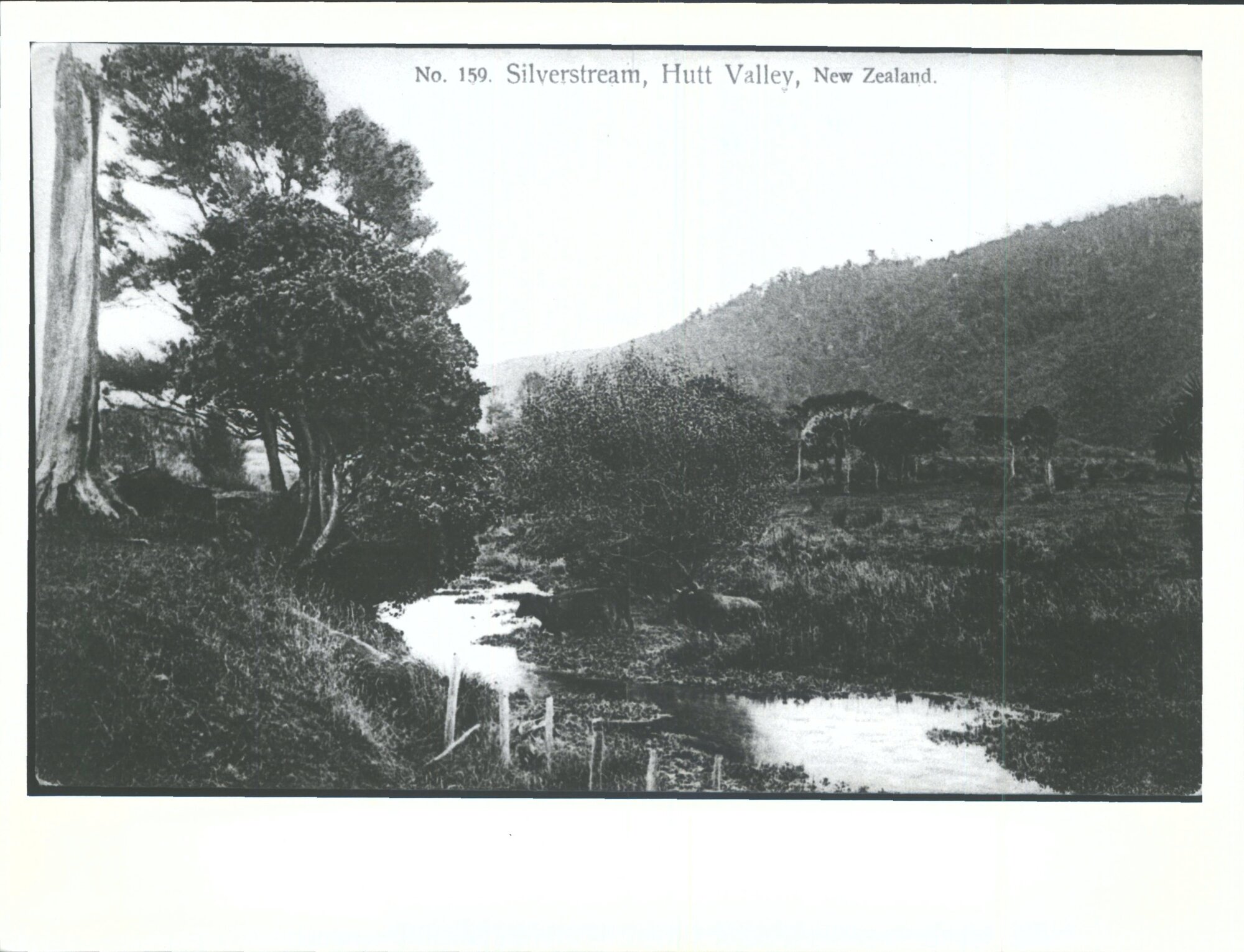 Silverstream, Hutt Valley, New Zealand