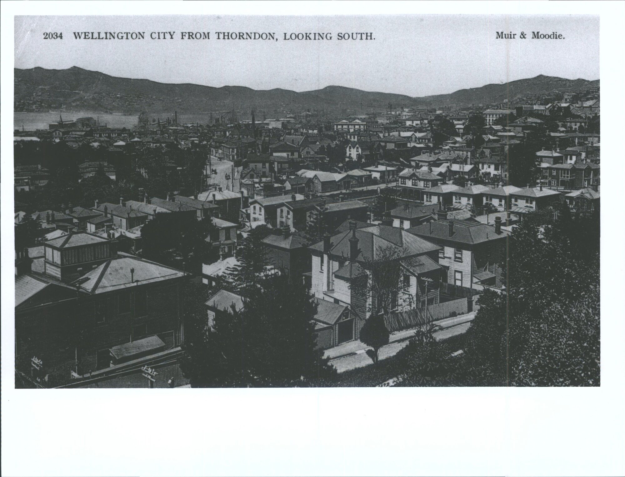 Wellington City from Thorndon, Looking South