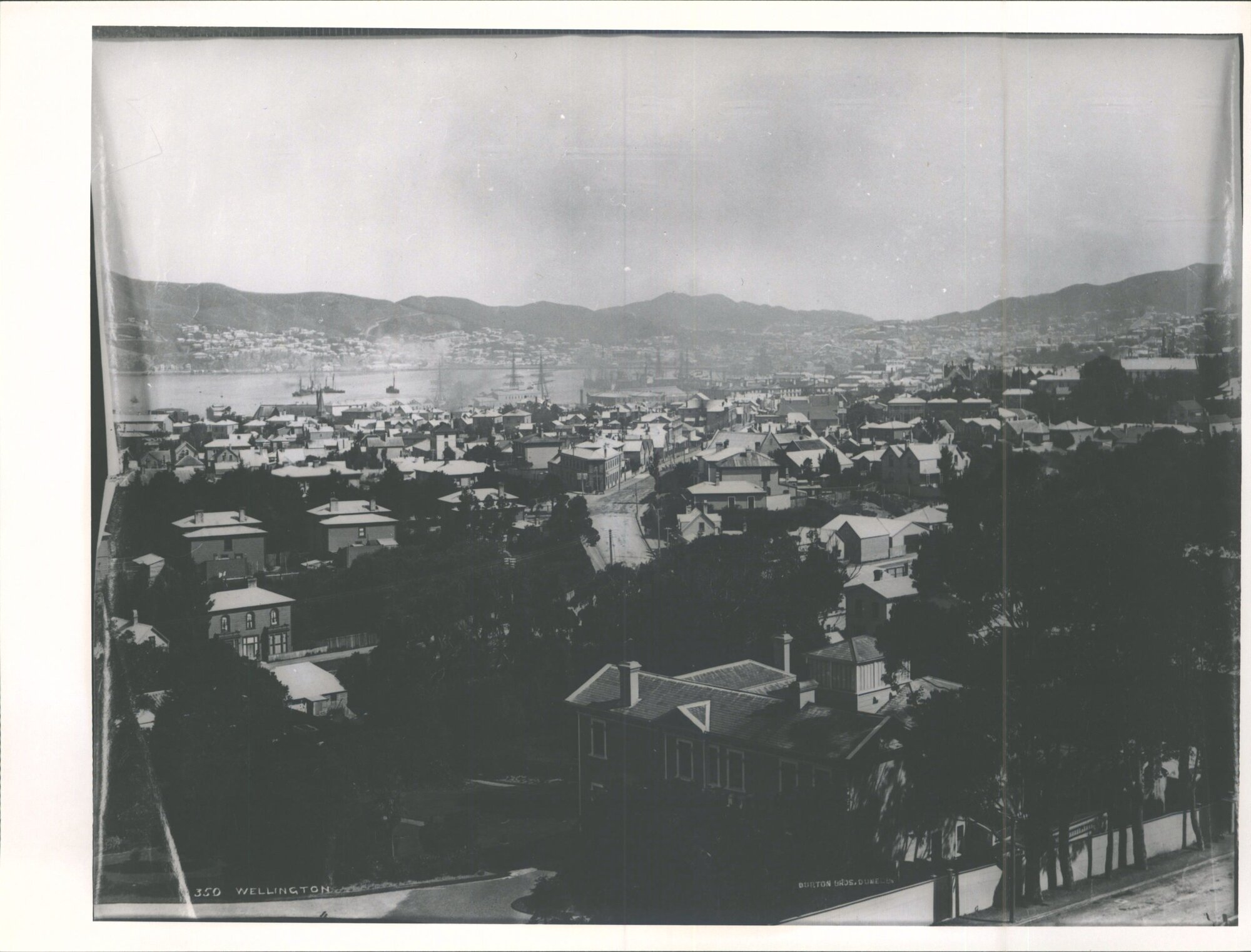 View of Wellington city and harbour from Thorndon