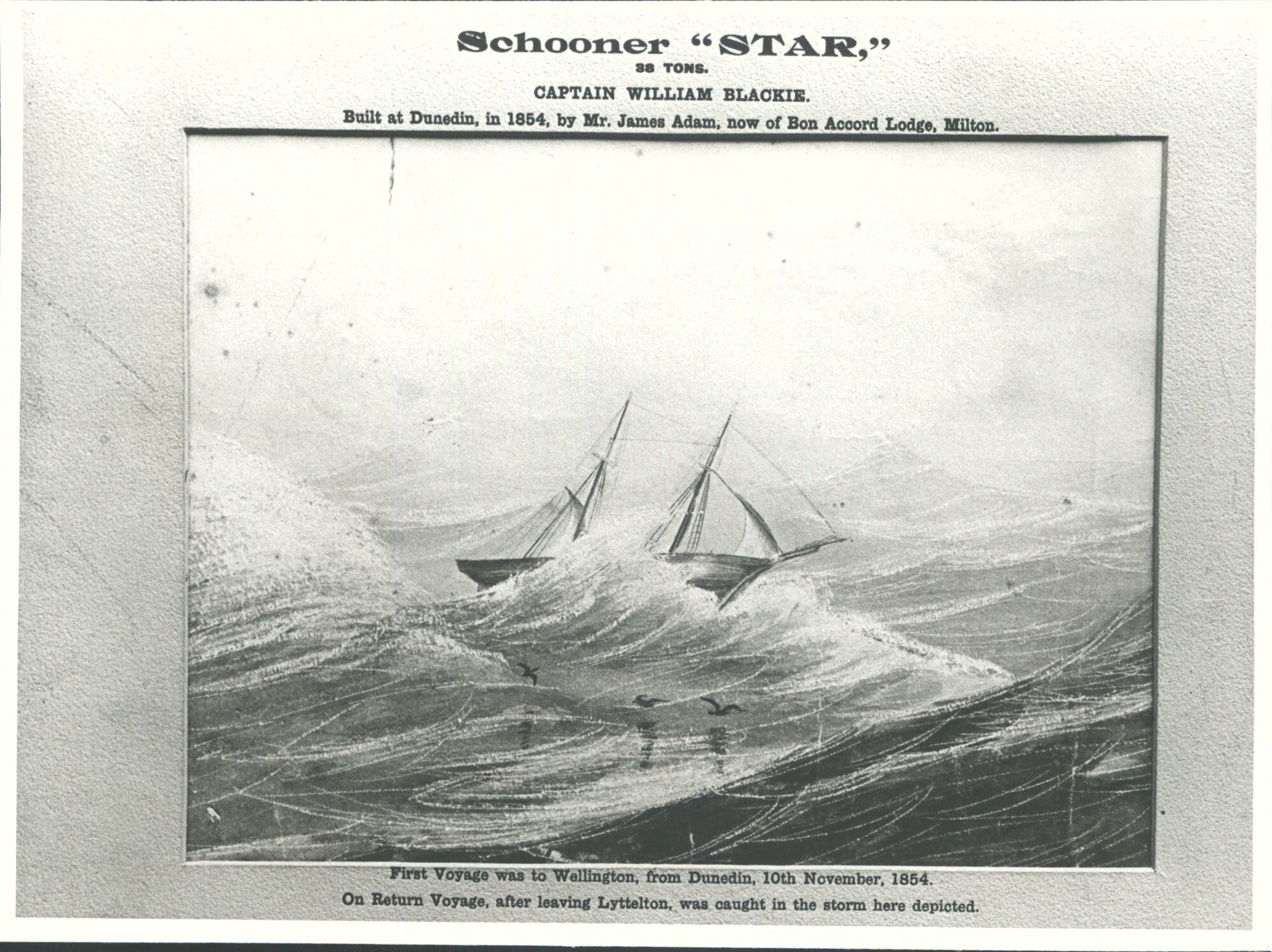 Star Schooner