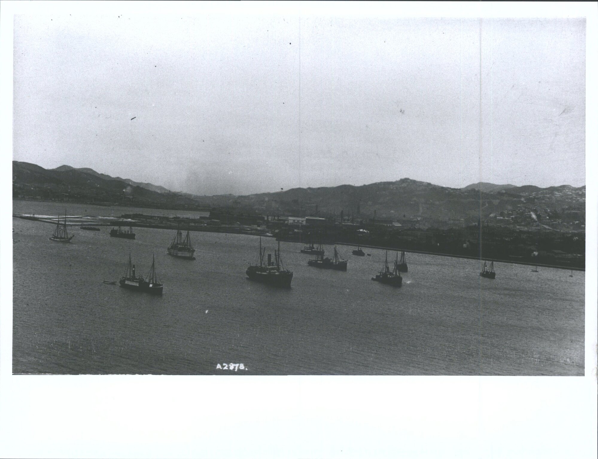 View of Wellington city and harbour