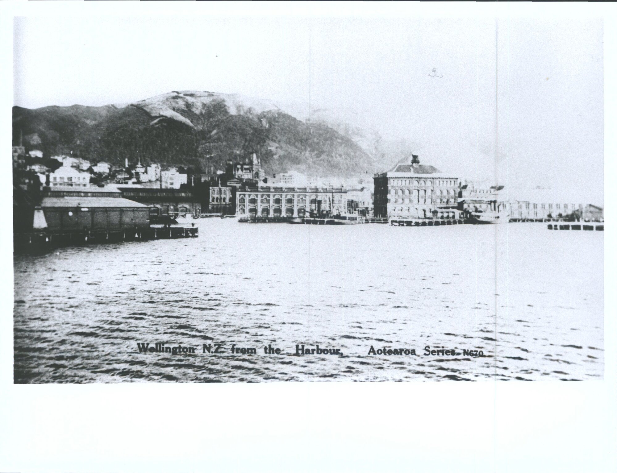 Wellington, N.Z. from the Harbour