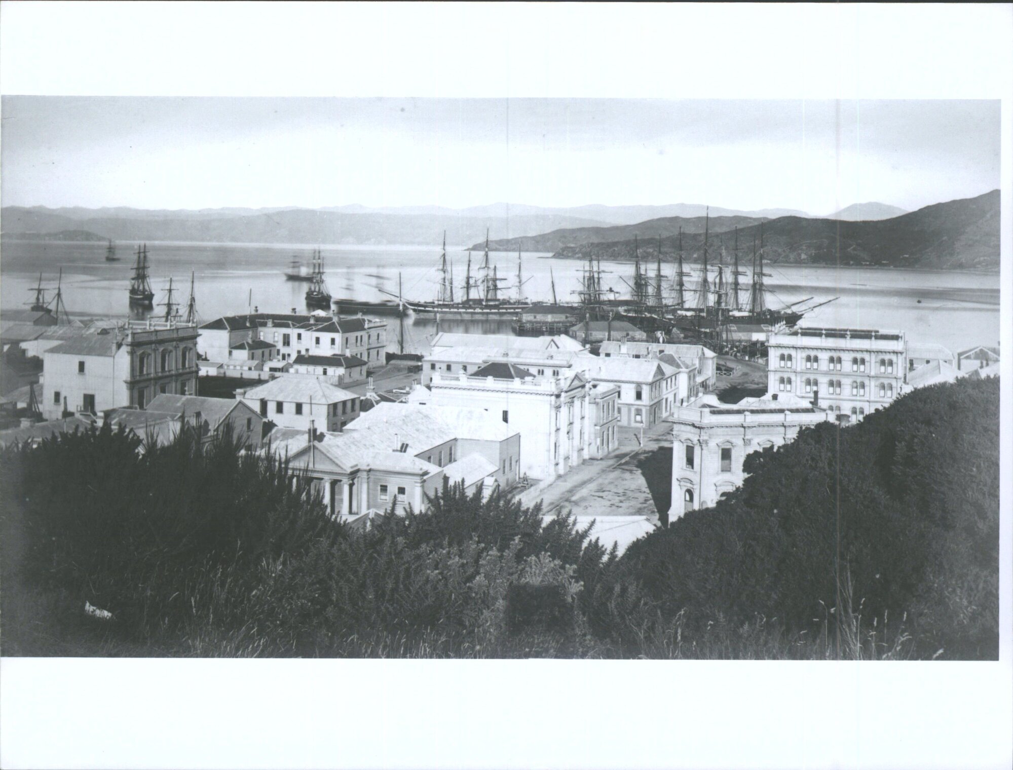 Pier, Wellington Harbour