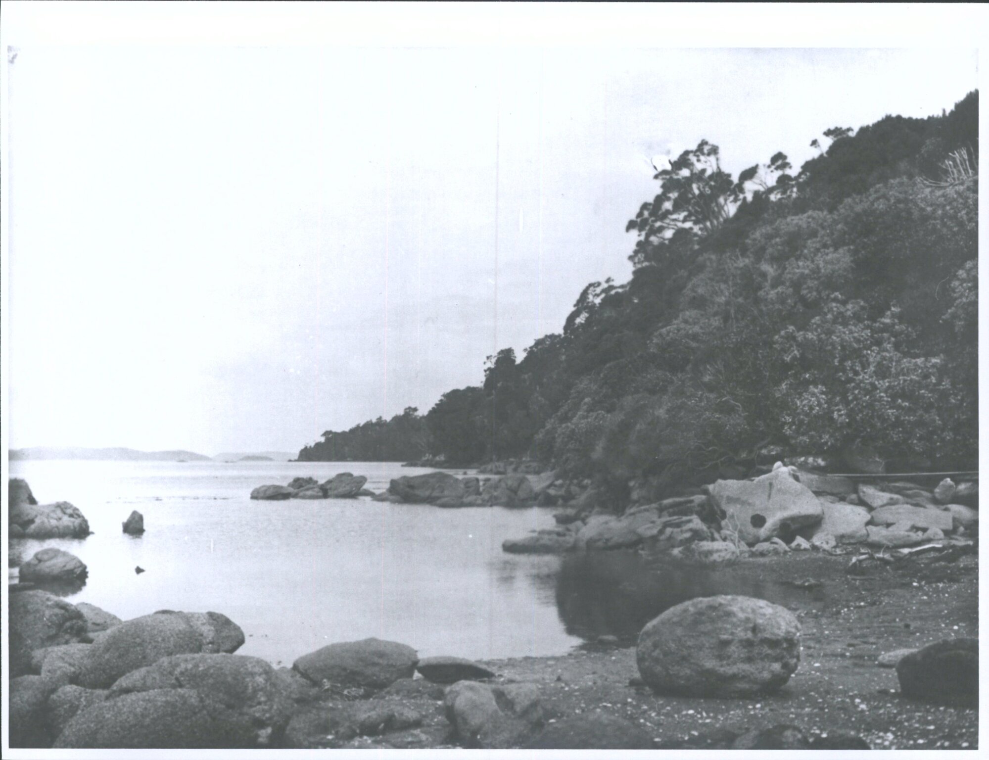 Unidentified beach on Stewart Island