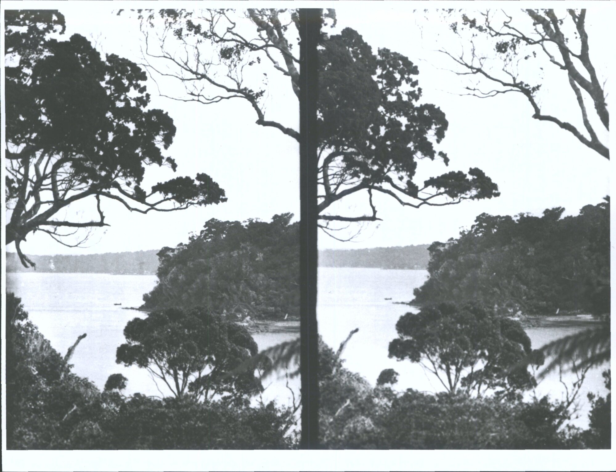 View of Stewart Island Bay