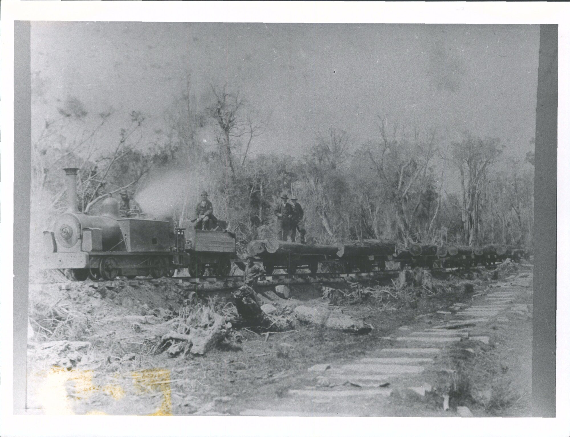 Logging transport train