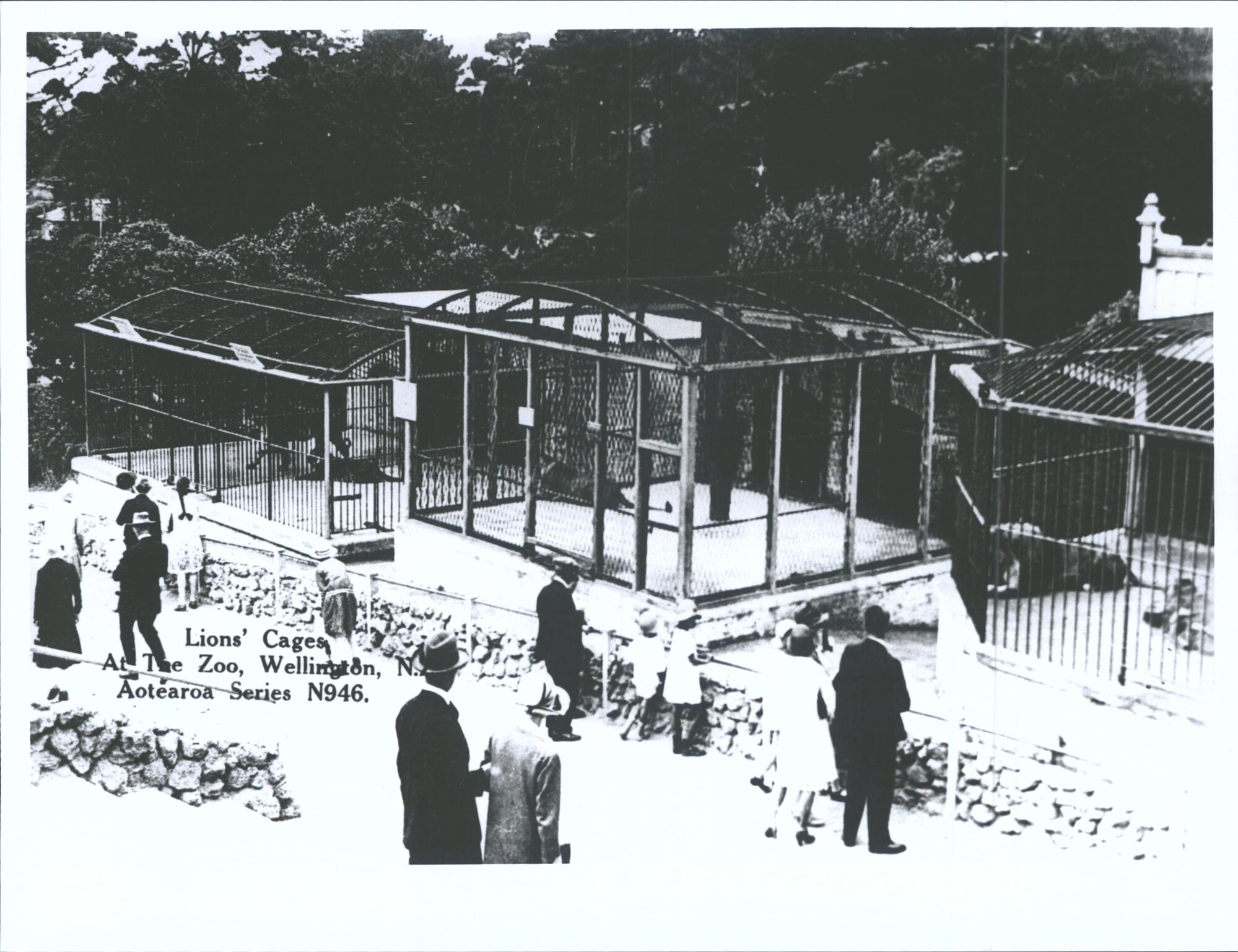 Lions' Cages, At The Zoo, Wellington, N.Z.