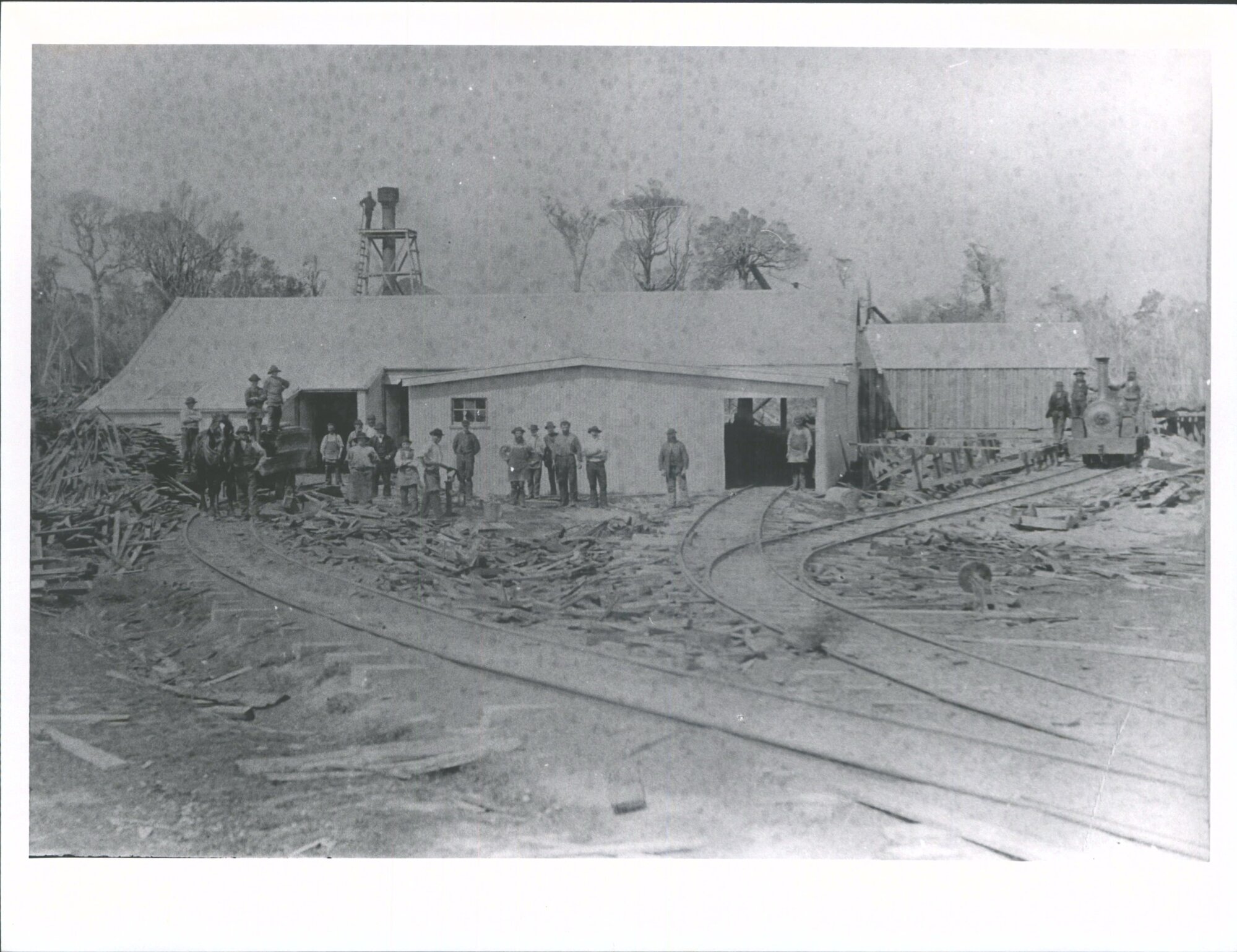 Lumber Mill on Stewart Island