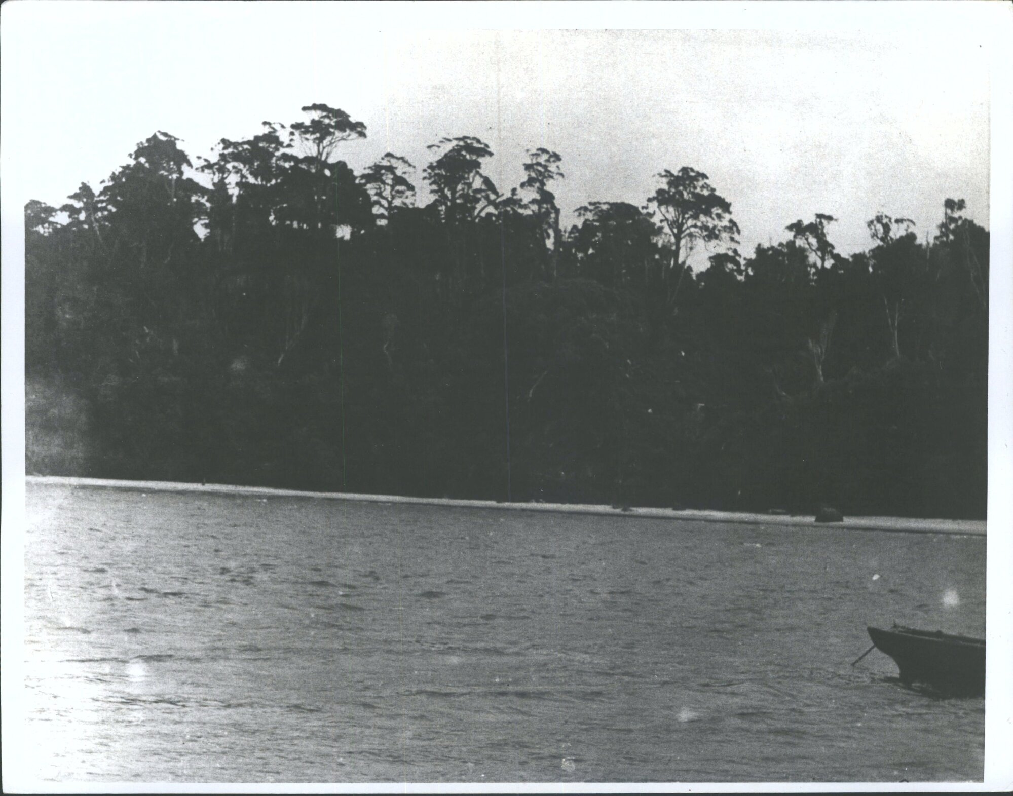 "Tignabruaich", Stewart Island