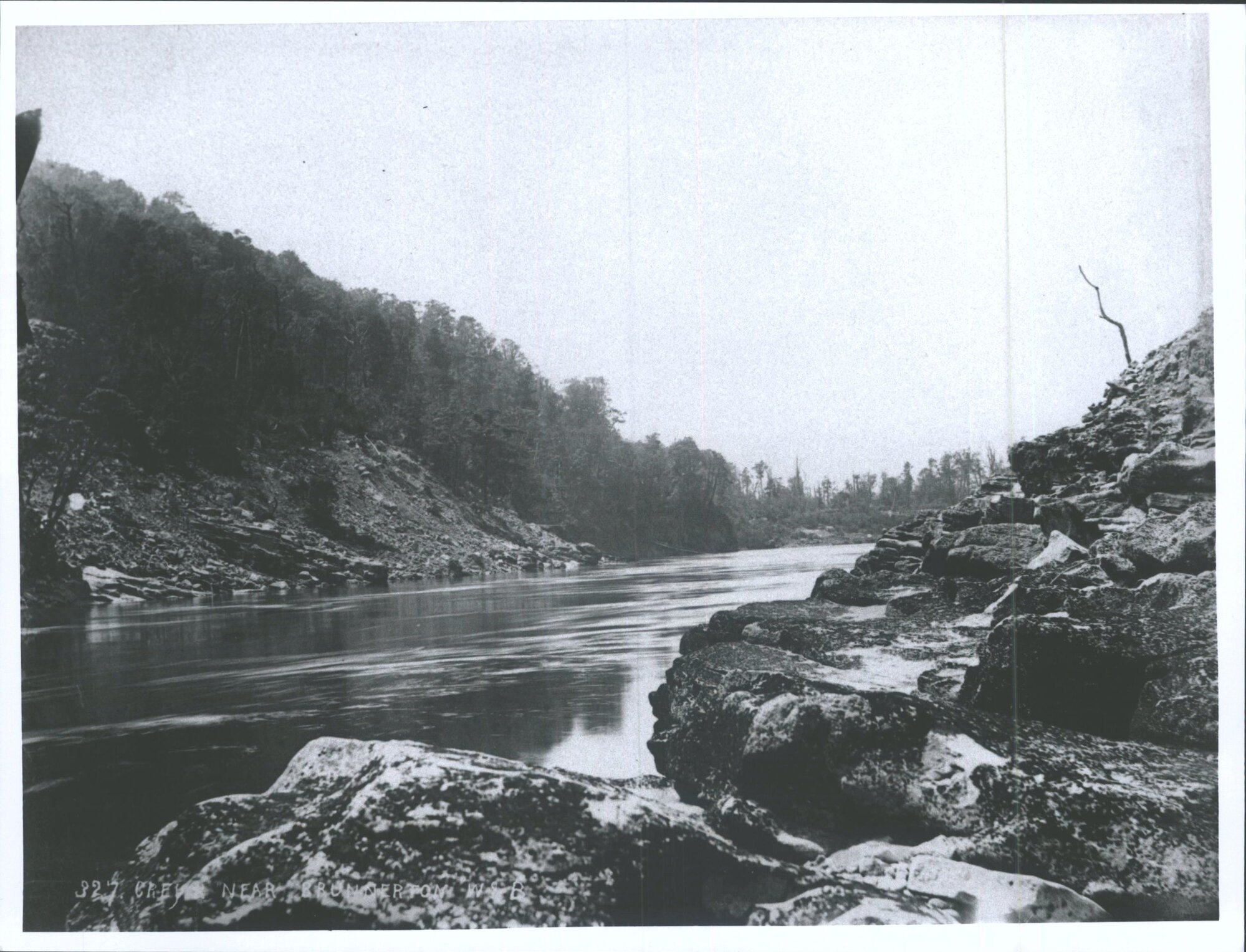 Grey River near Brunnerton