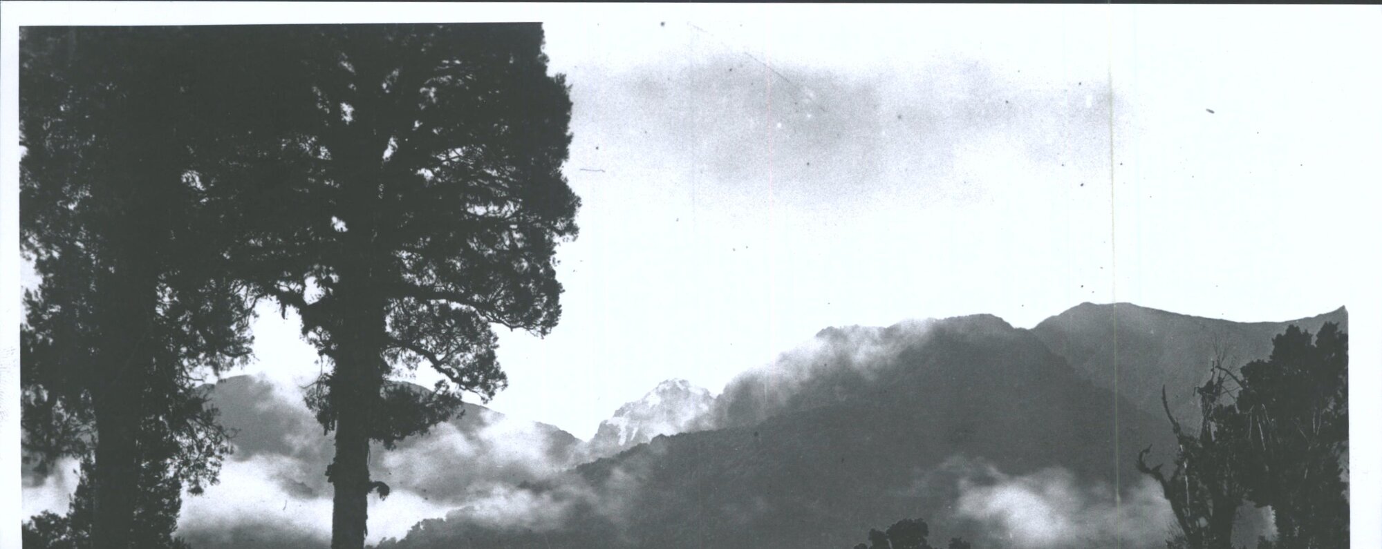 The Alps from the Plains of Westland