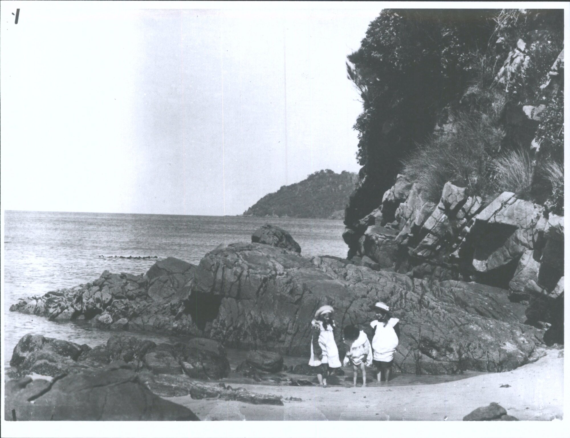 Children in a rock pool at a beach