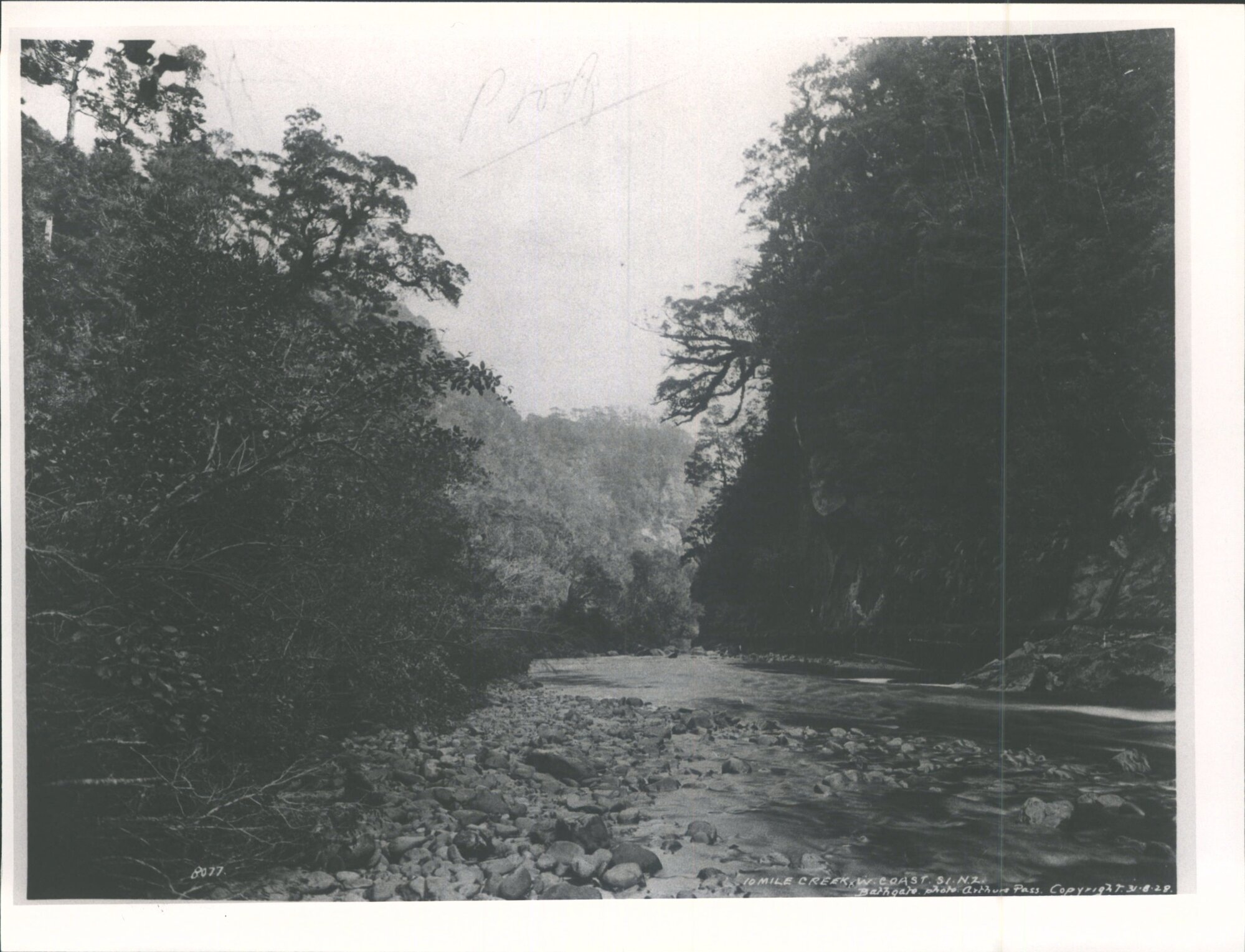 10 Mile Creek, West Coast, N.Z.