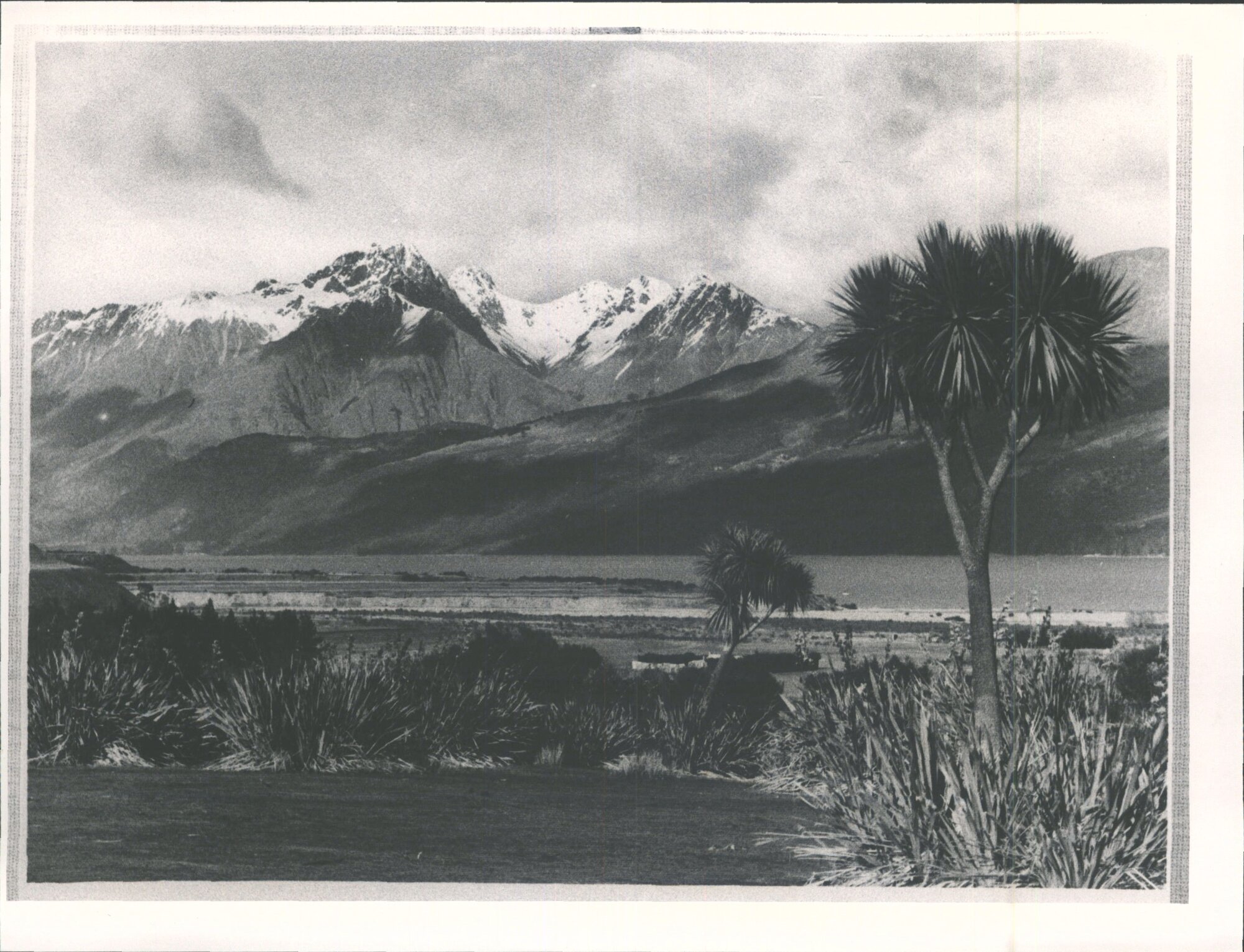 Westland: Cabbage Trees, Lake and Mountains