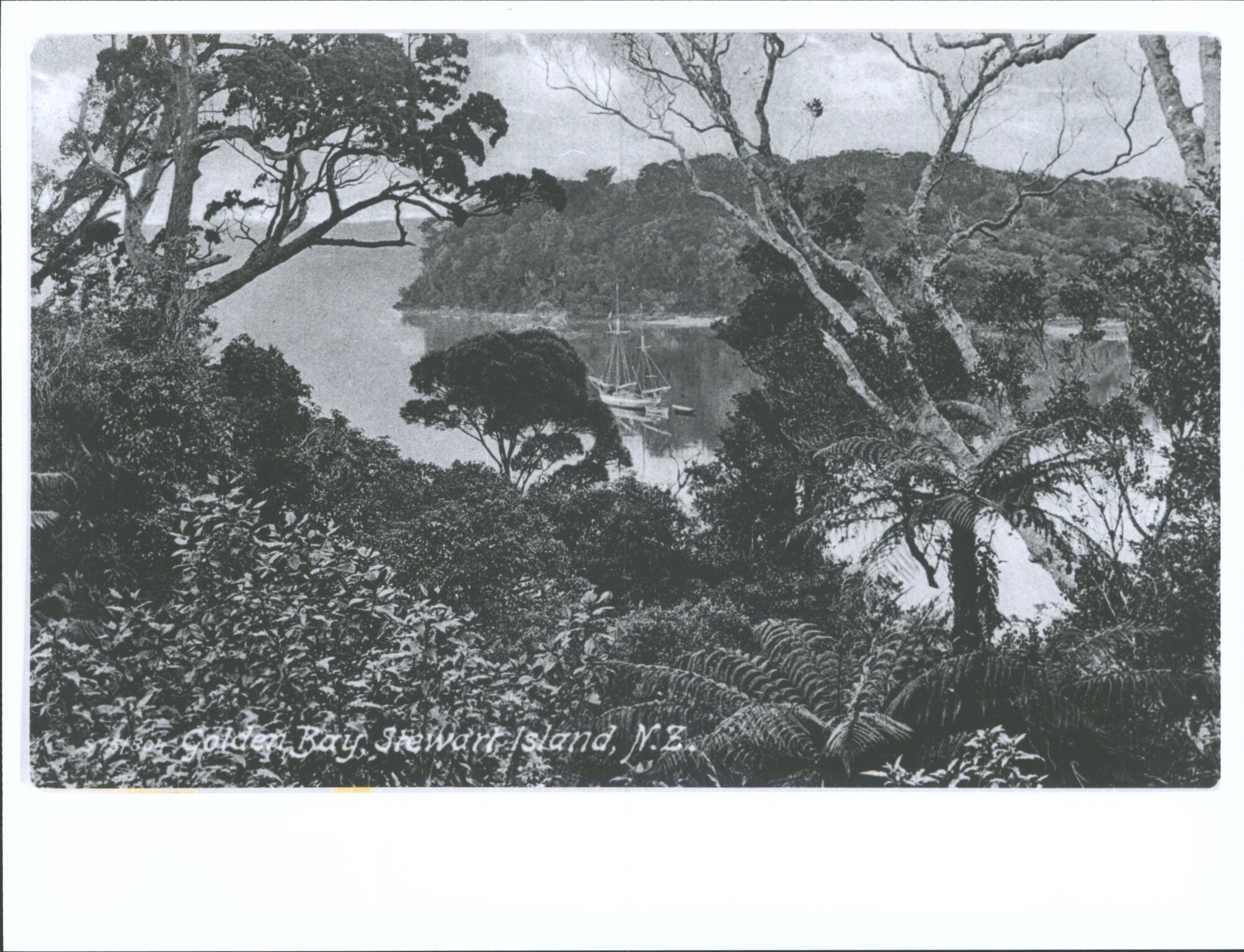Golden Bay, Stewart Island, N.Z.