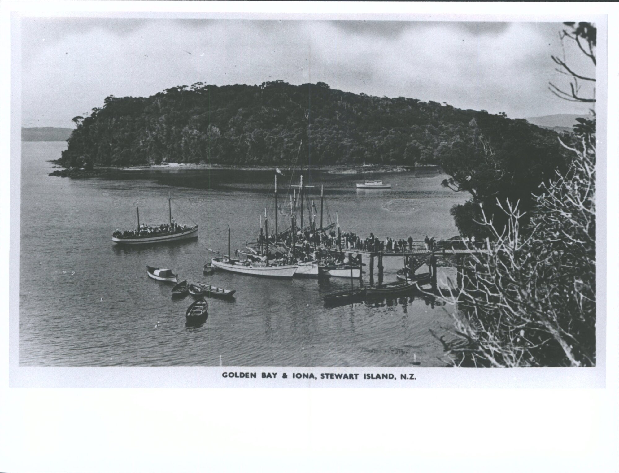 Golden Bay and Iona, Stewart Island, N.Z.