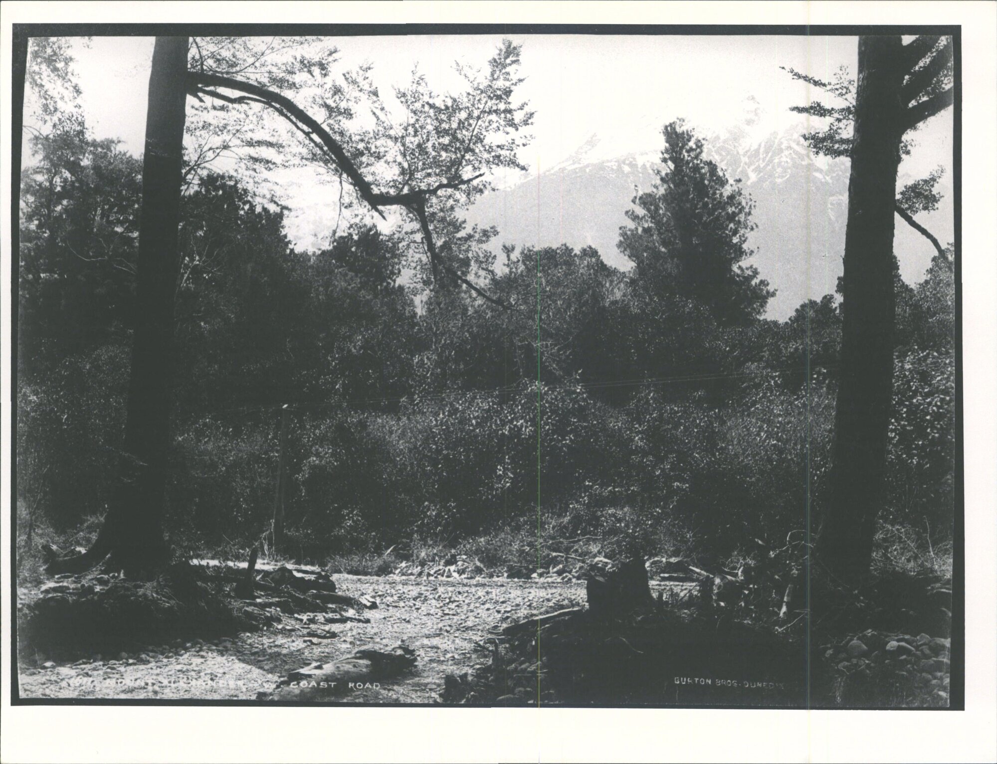 Mt Alexander, West Coast Road