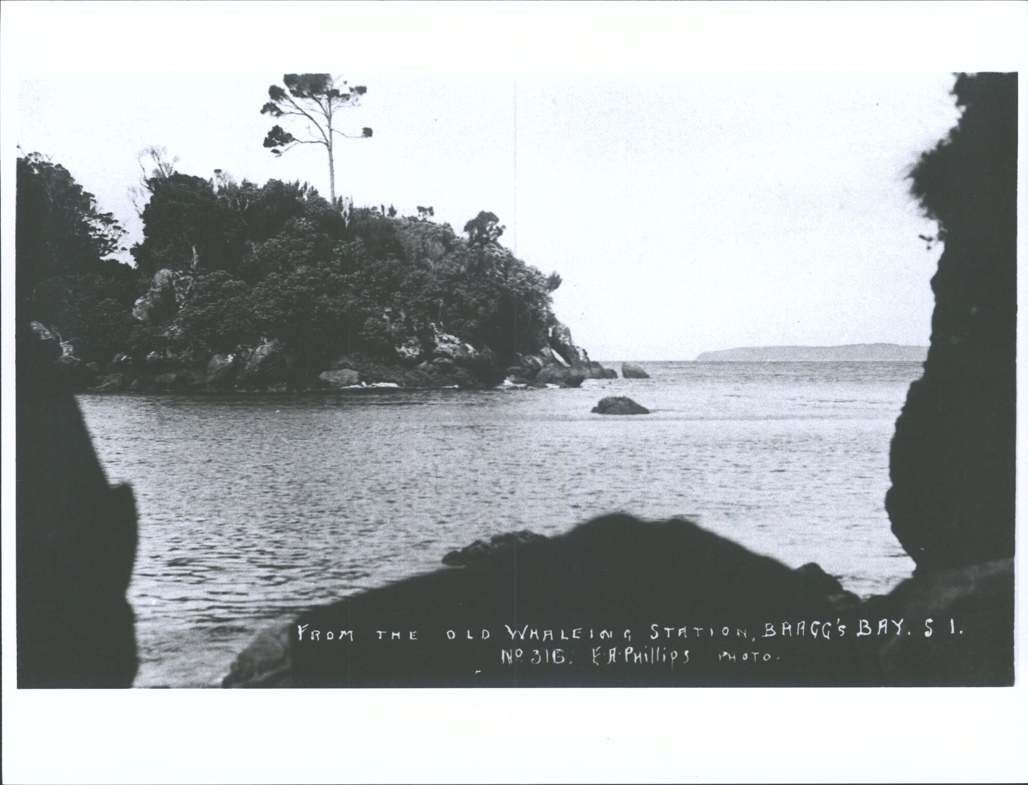 From the Old Whaling Station, Bragg Bay, Stewart Island