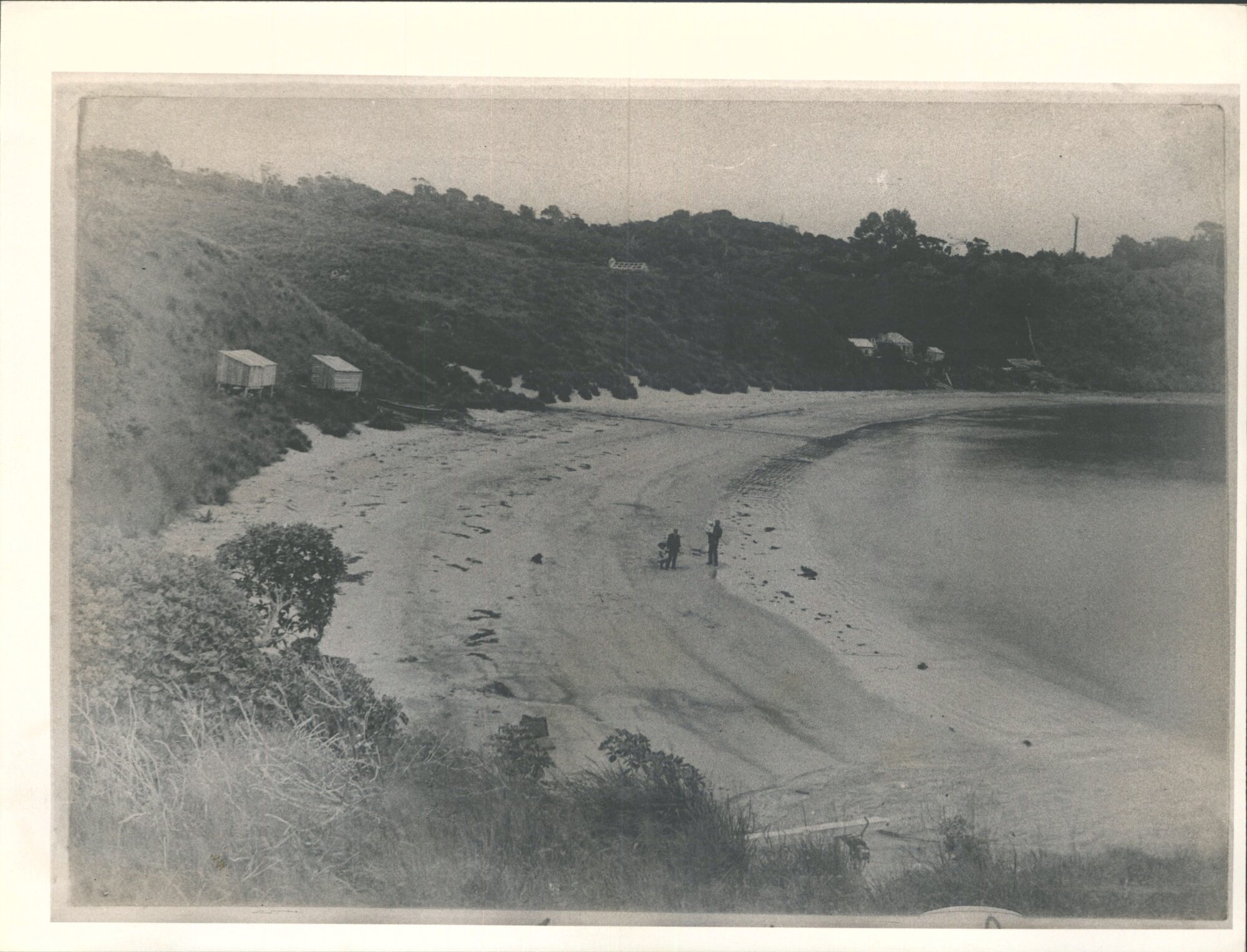 Paterson Inlet, Stewart Island