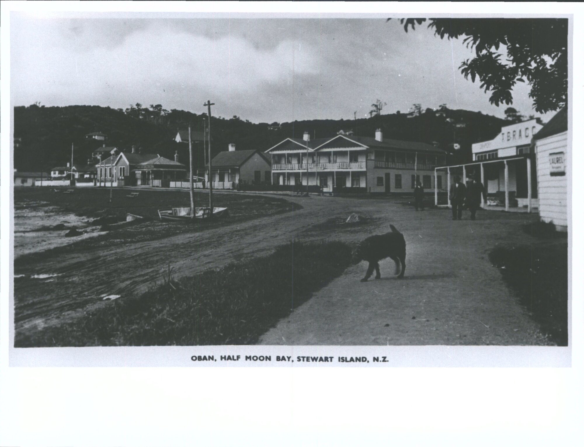 Oban, Half Moon Bay, Stewart Island, N.Z.