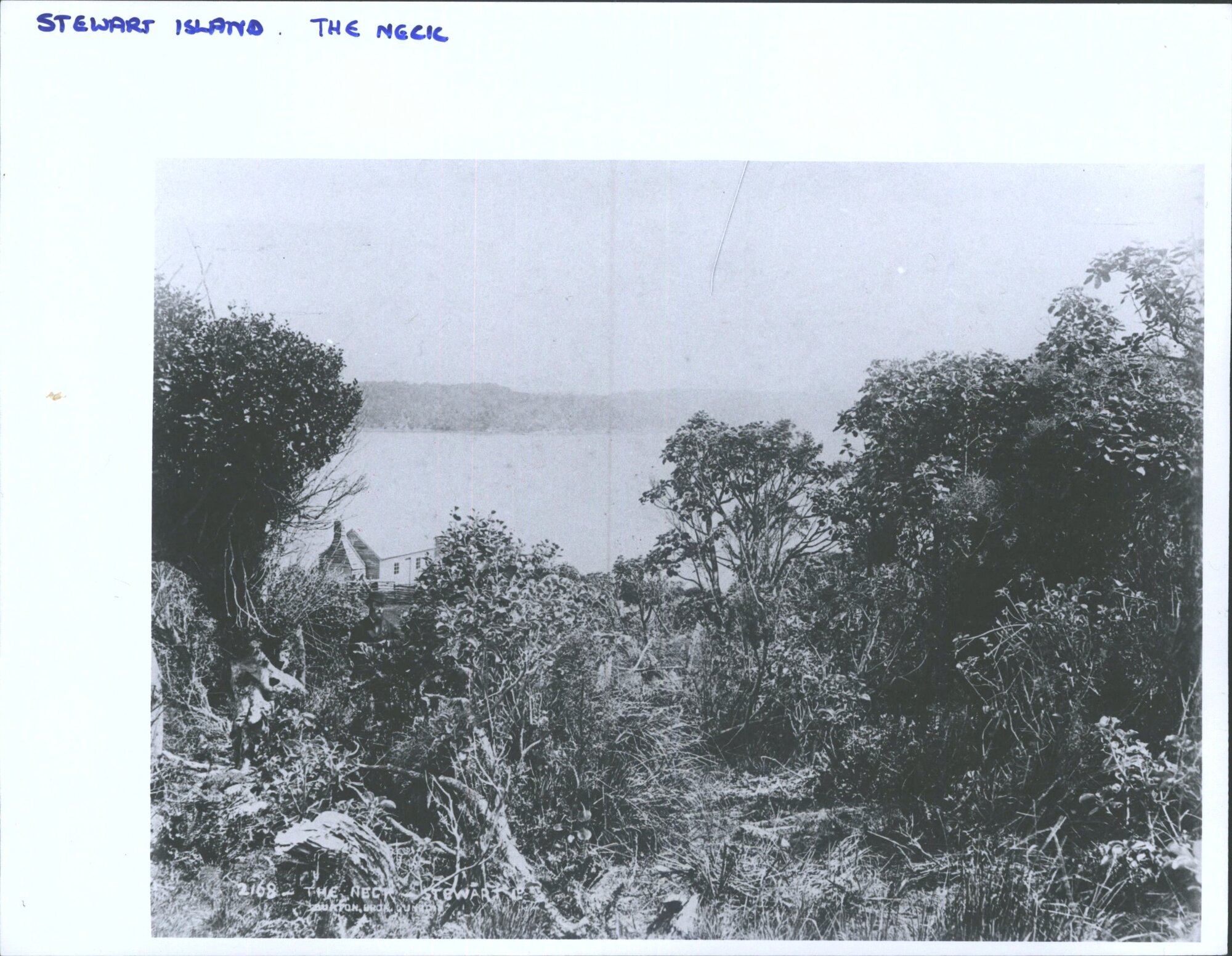 The Neck, Stewart Island