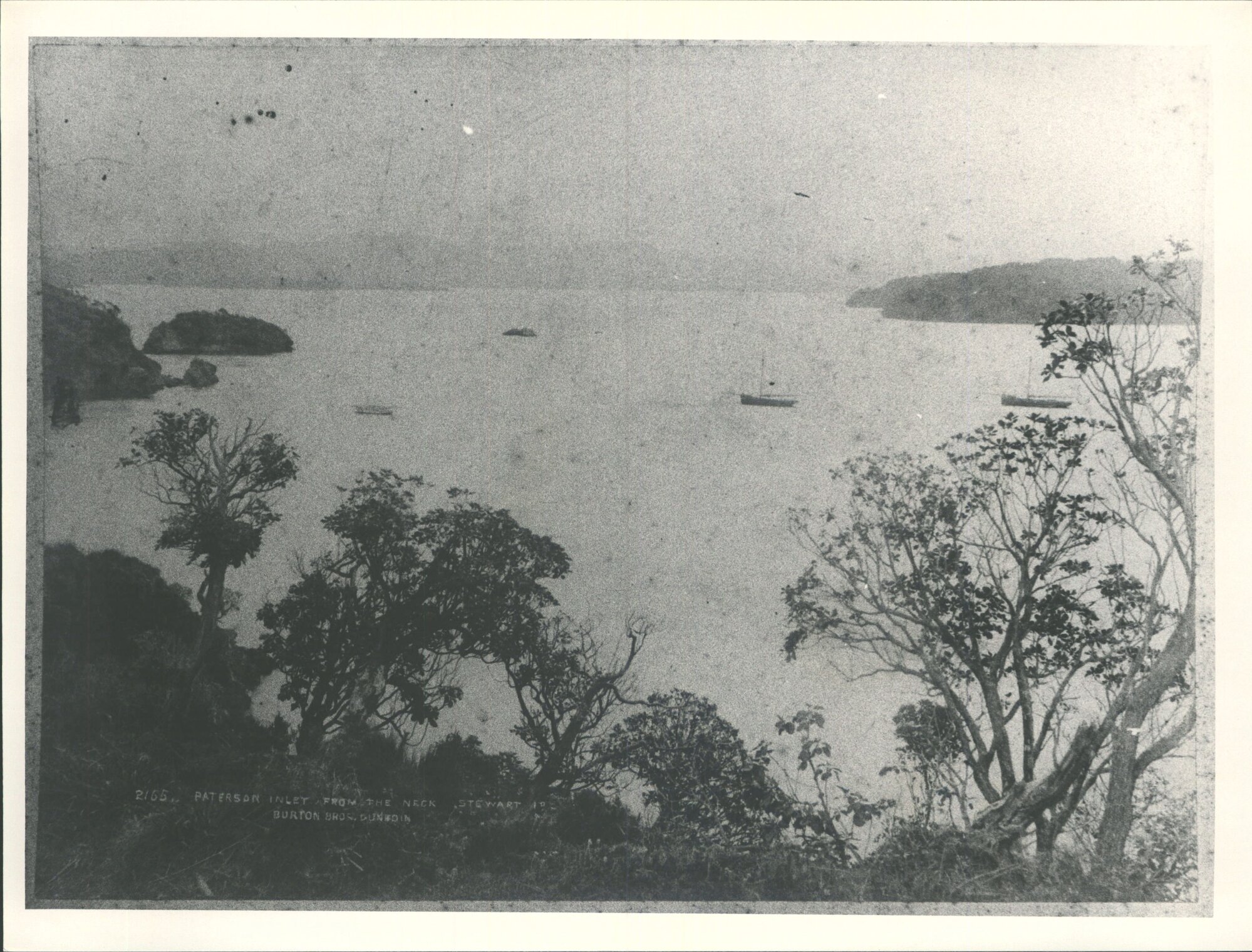 Paterson Inlet from The Neck, Stewart Island
