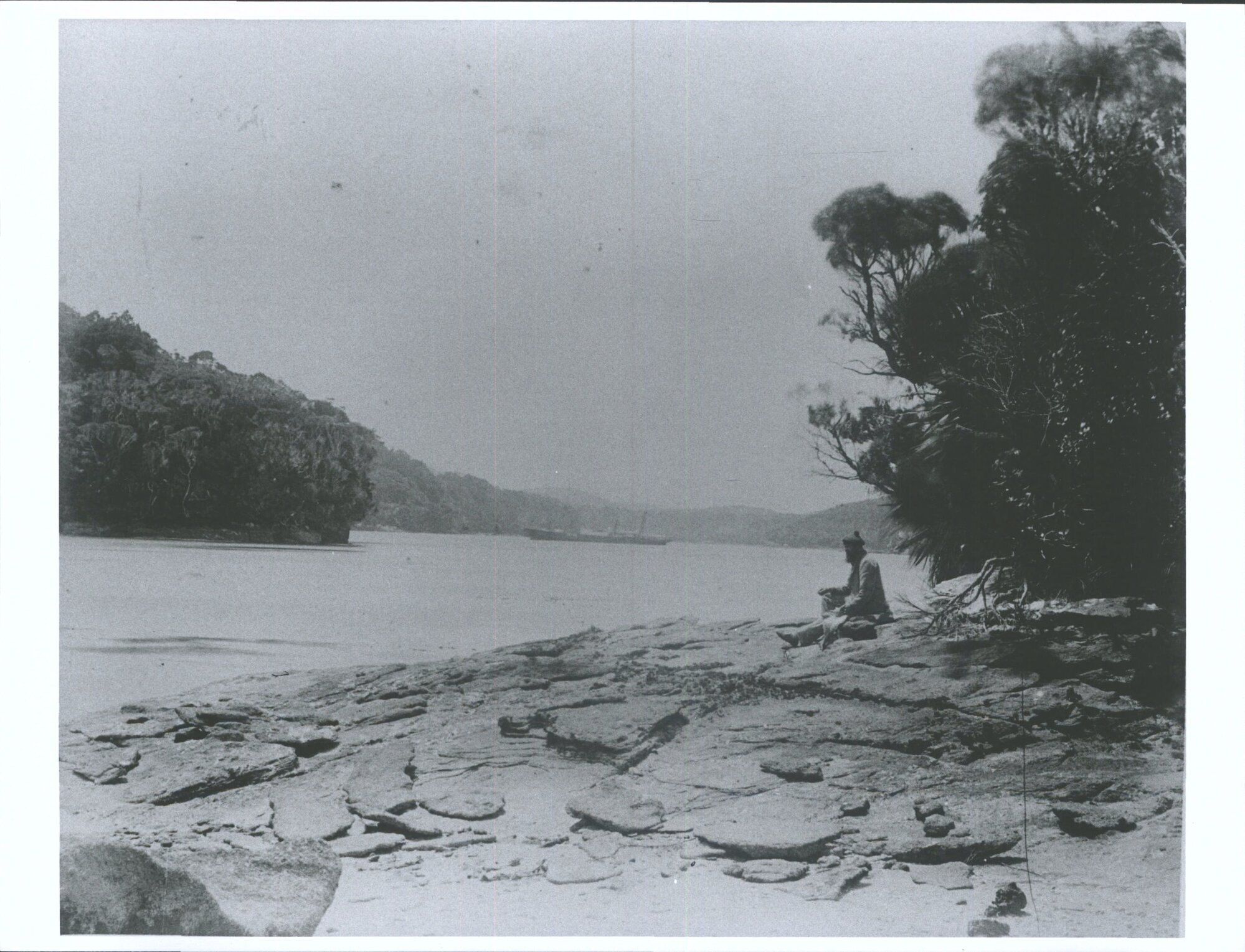 Andreas Reischek at Port Pegasus, Evening Cove