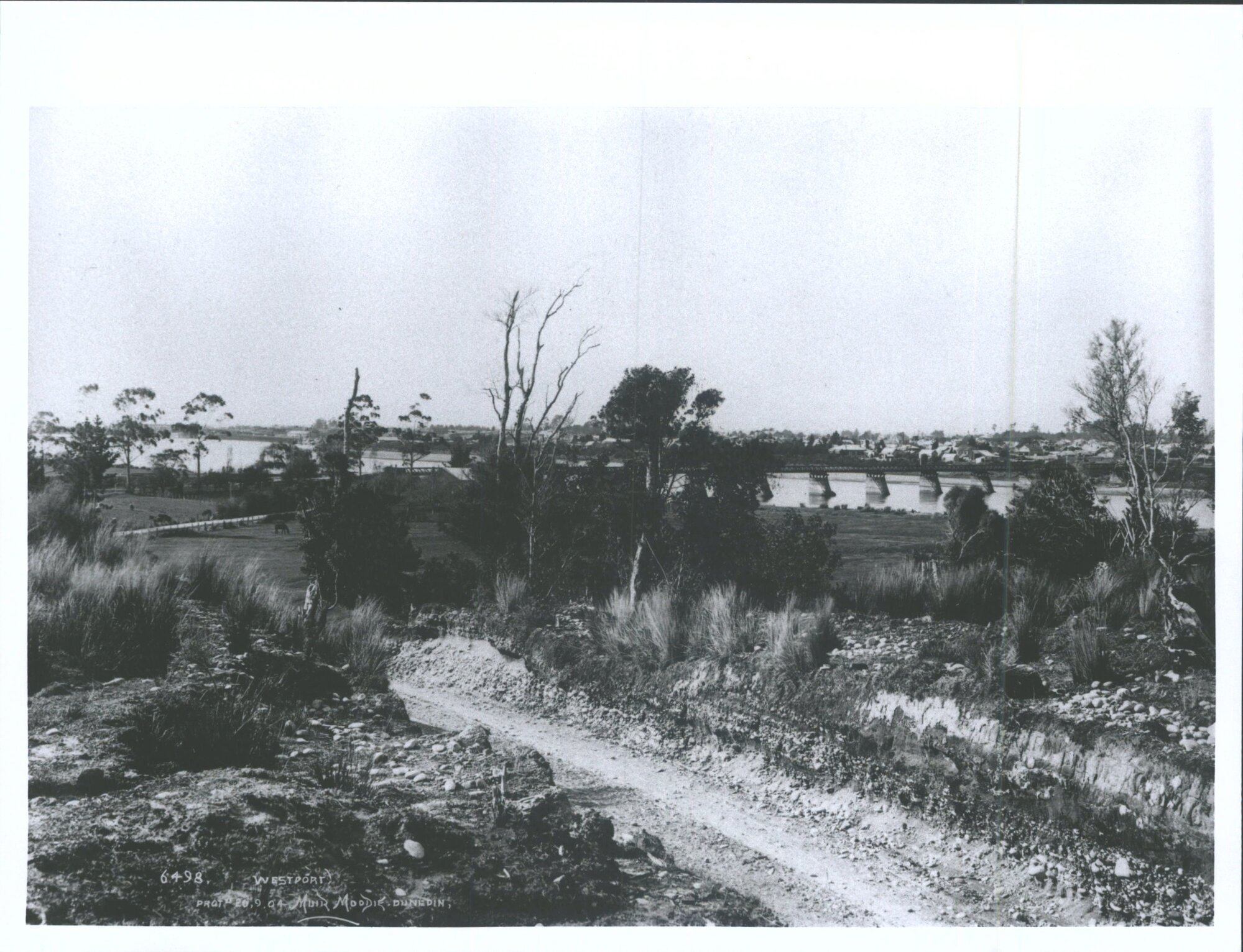 Bridge - Buller River