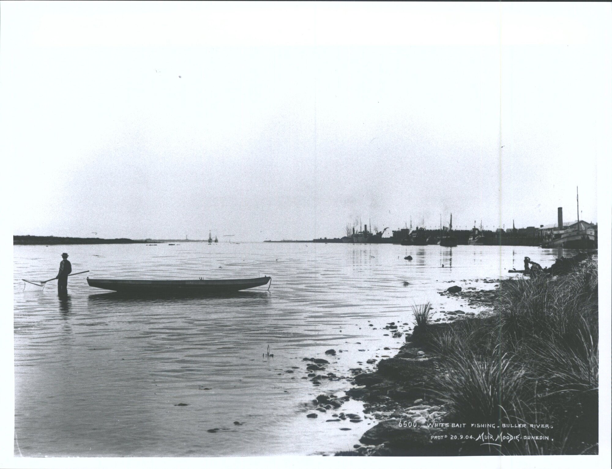 White Bait Fishing, Buller River