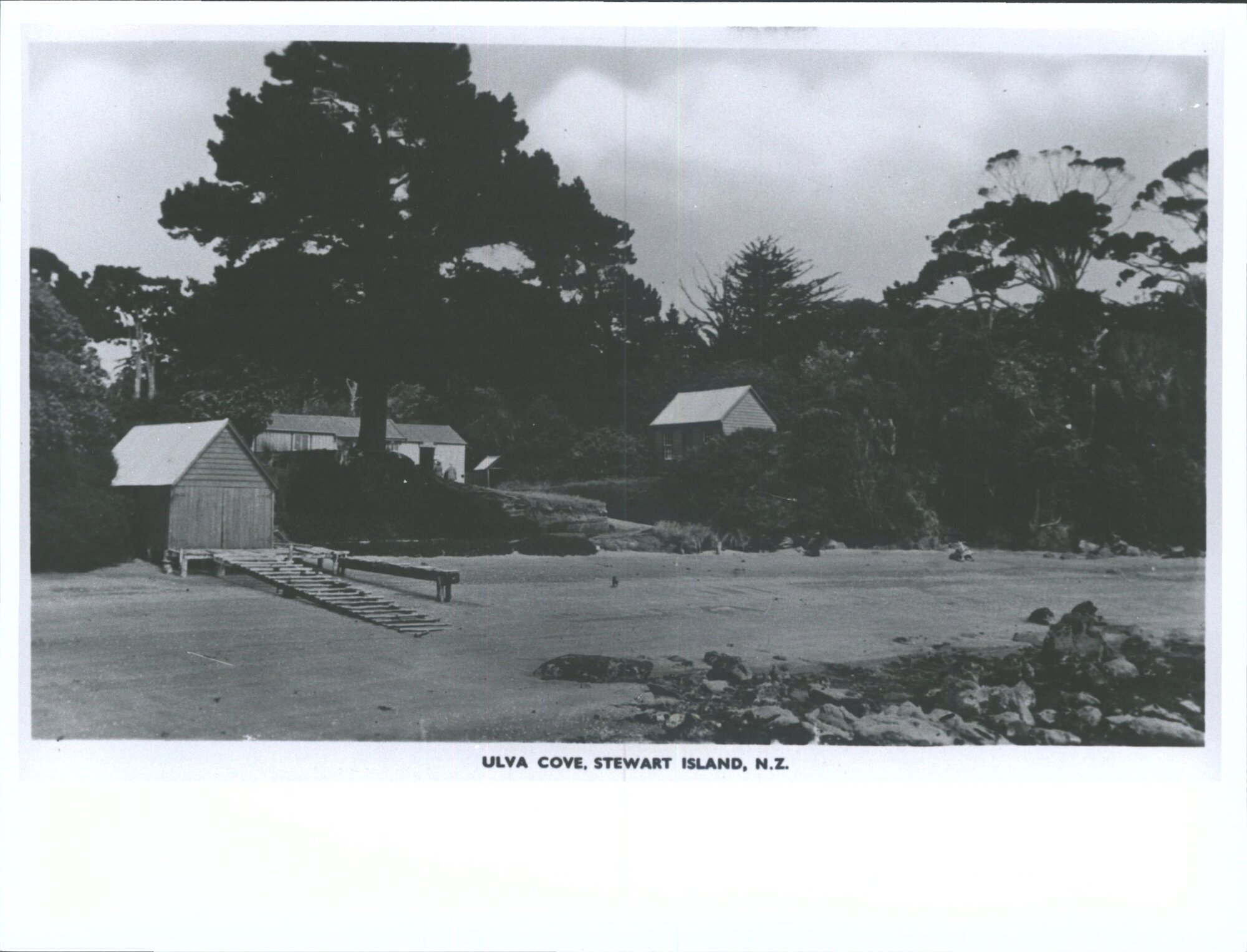 Ulva Cove, Stewart Island, N.Z.