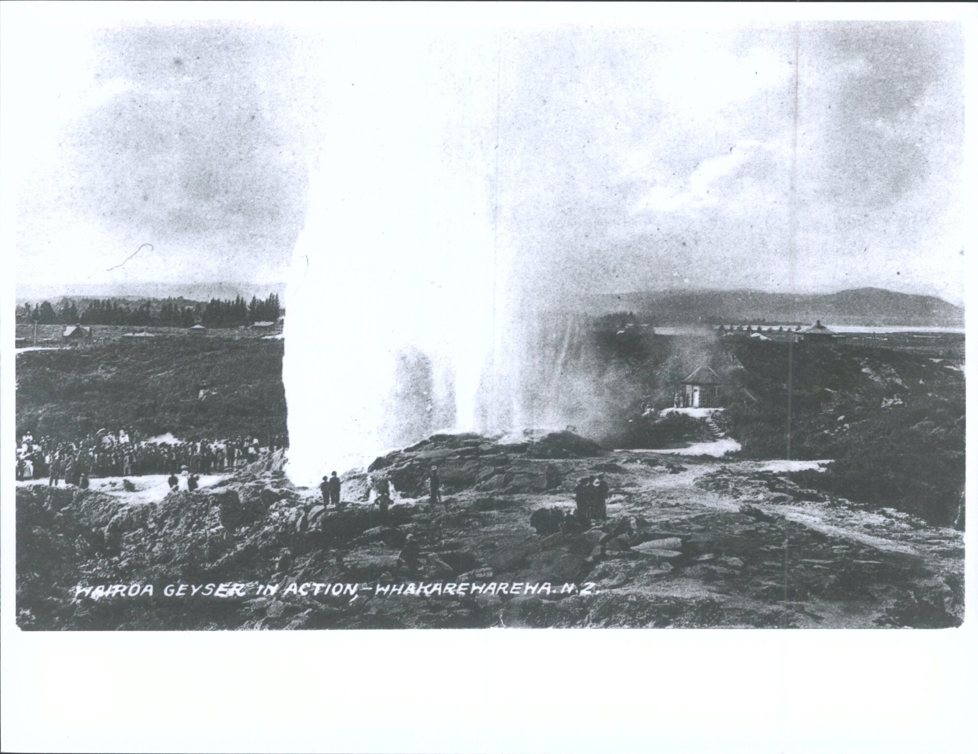 Wairoa Geyser in Action, Whakarewarewa, N.Z.