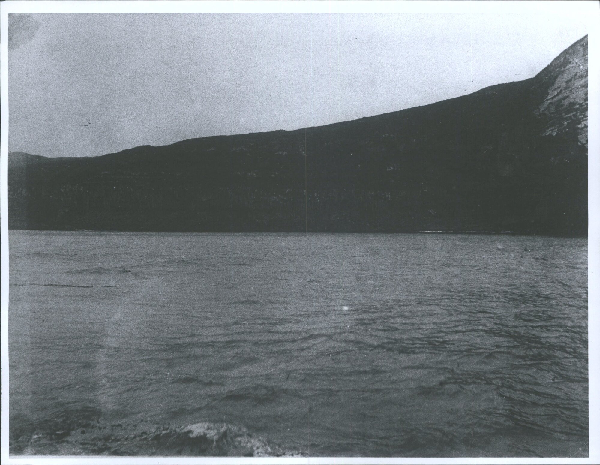 Peculiar Coast Formation, North Anchorage, Antipodes Islands