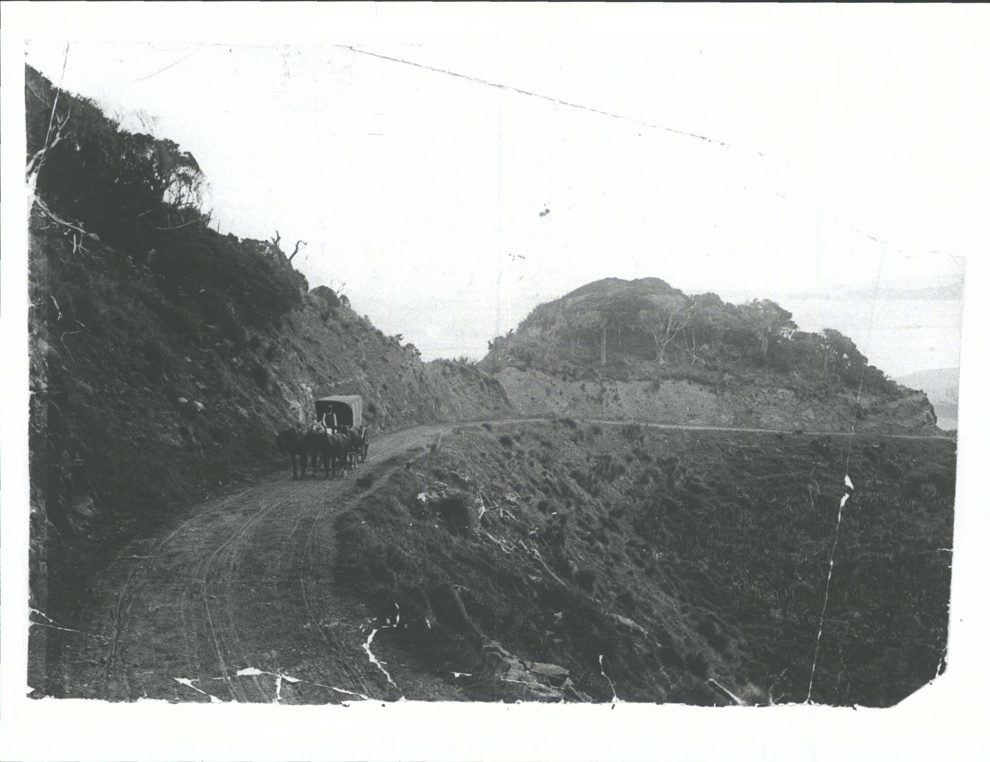 The Hill from Tahakopa Bay